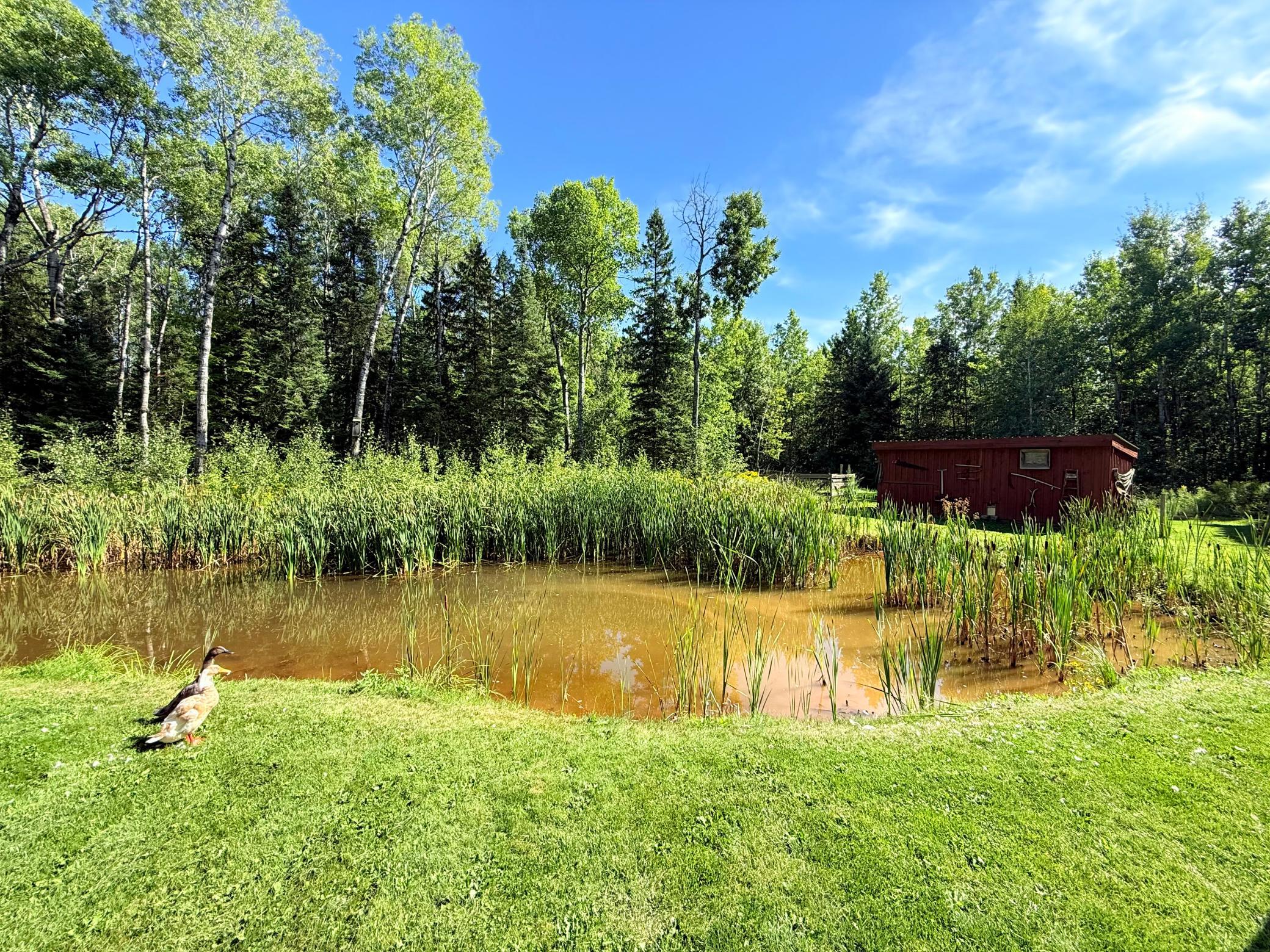 14255 Touve Road Property Photo 38