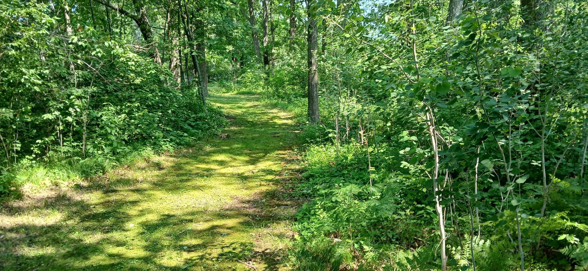 26898 State Highway 210 Property Photo 12