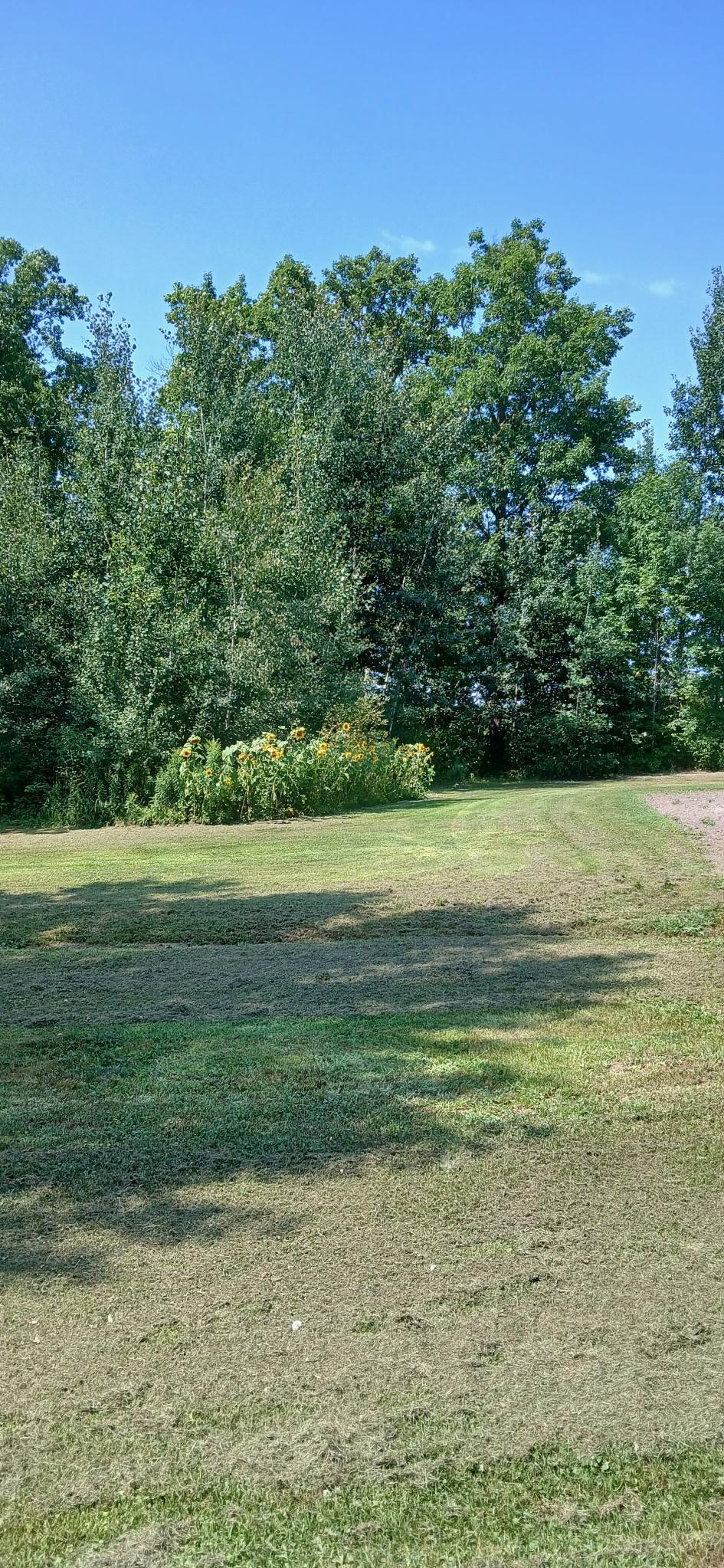 26898 State Highway 210 Property Photo 16