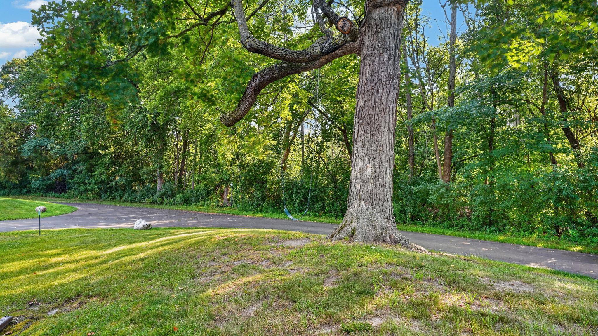 30167 Olinda Trail Property Photo 6