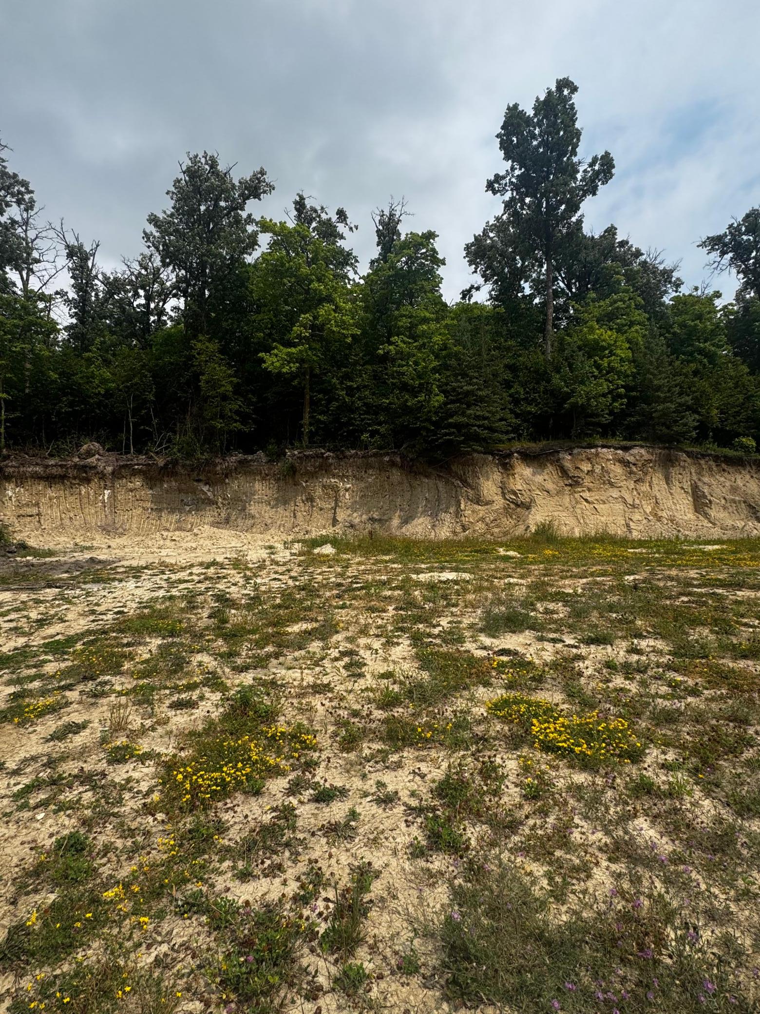 39534 Public Access Road Property Photo 5