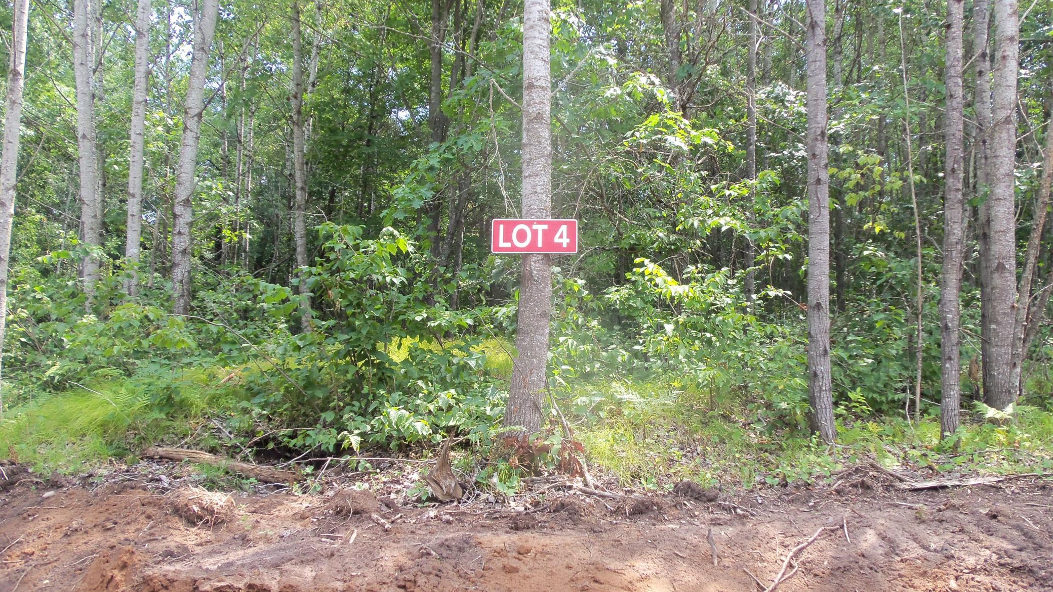 Lot 4 Birch Tree Trl Property Photo 1