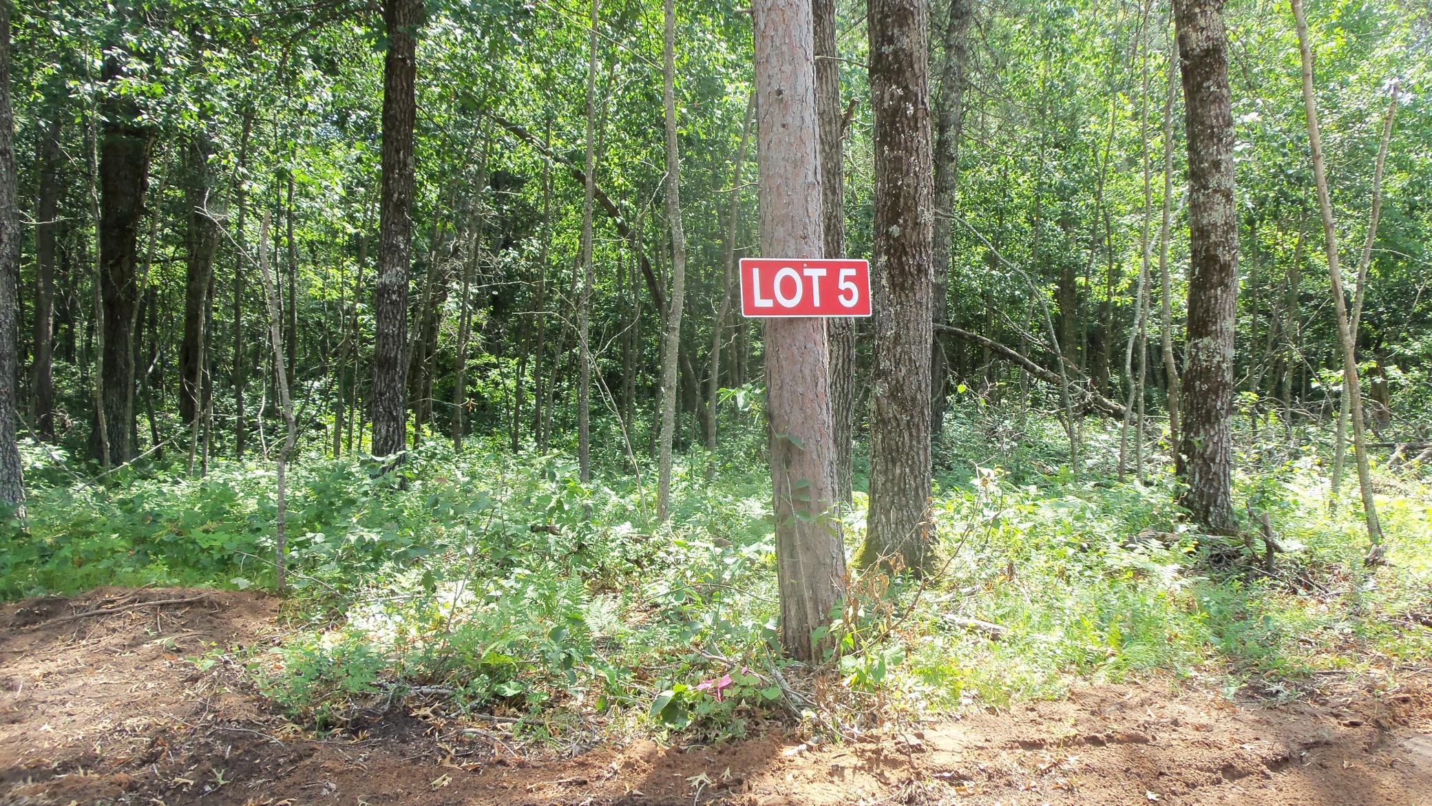 Lot 5 Brch Tree Trl Property Photo 1