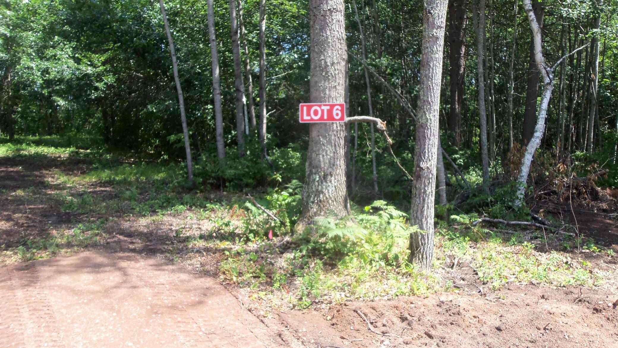 Lot 6 Birch Tree Trl Property Photo 1