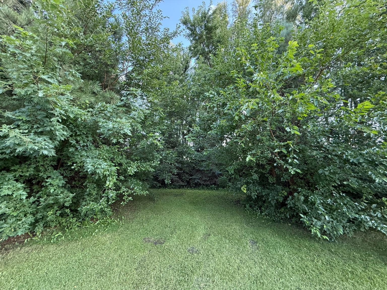 310 D Scholten Drive Property Photo 47