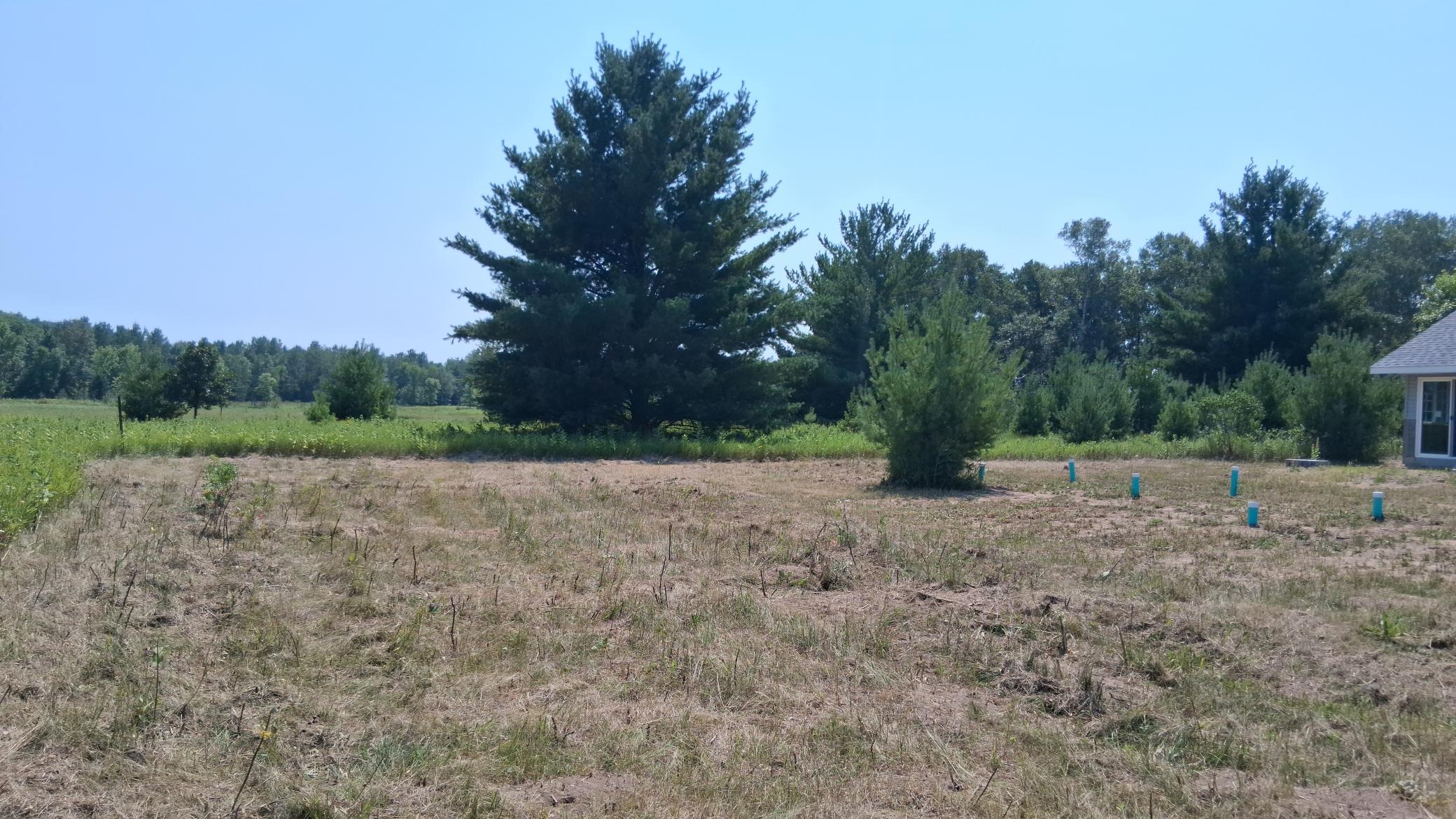 28274 Orb Drive Property Photo 5