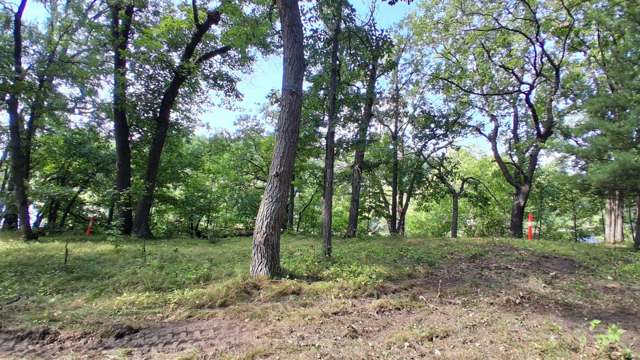 38869 Odin Court Property Photo 4