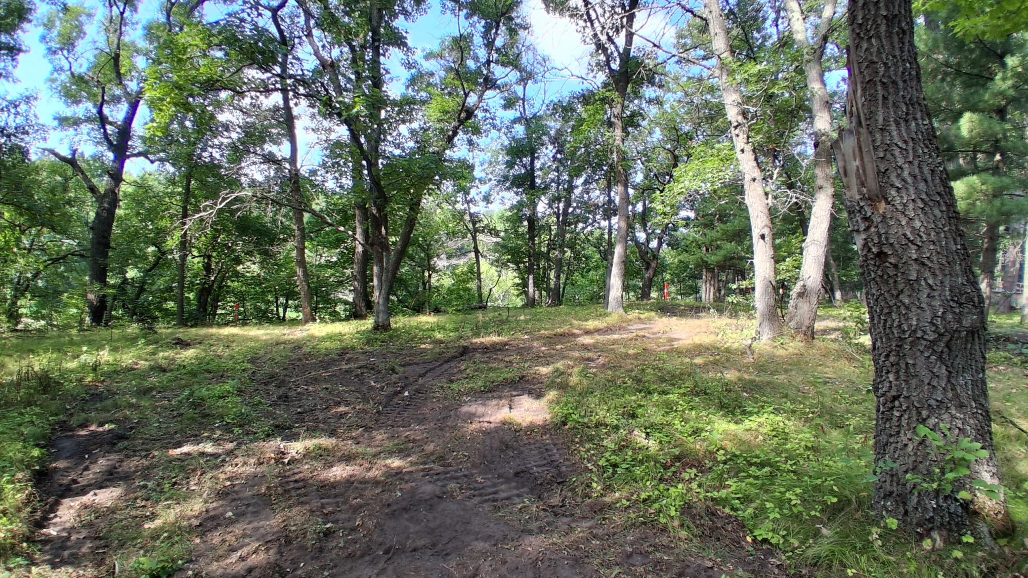 38869 Odin Court Property Photo 5