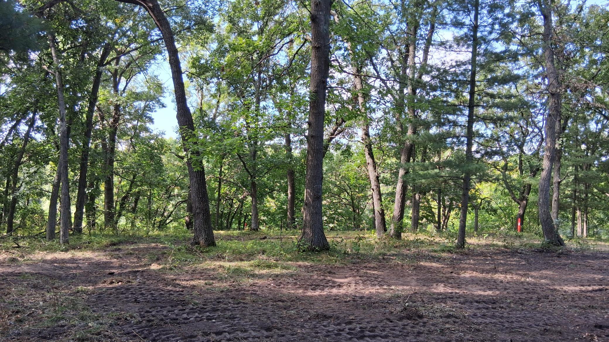38869 Odin Court Property Photo 6