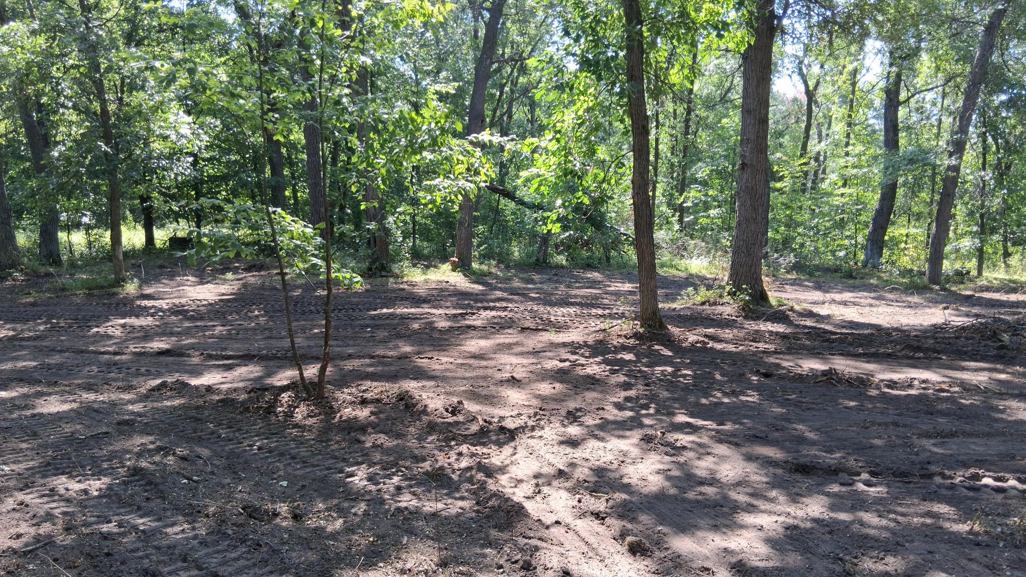 38869 Odin Court Property Photo 12