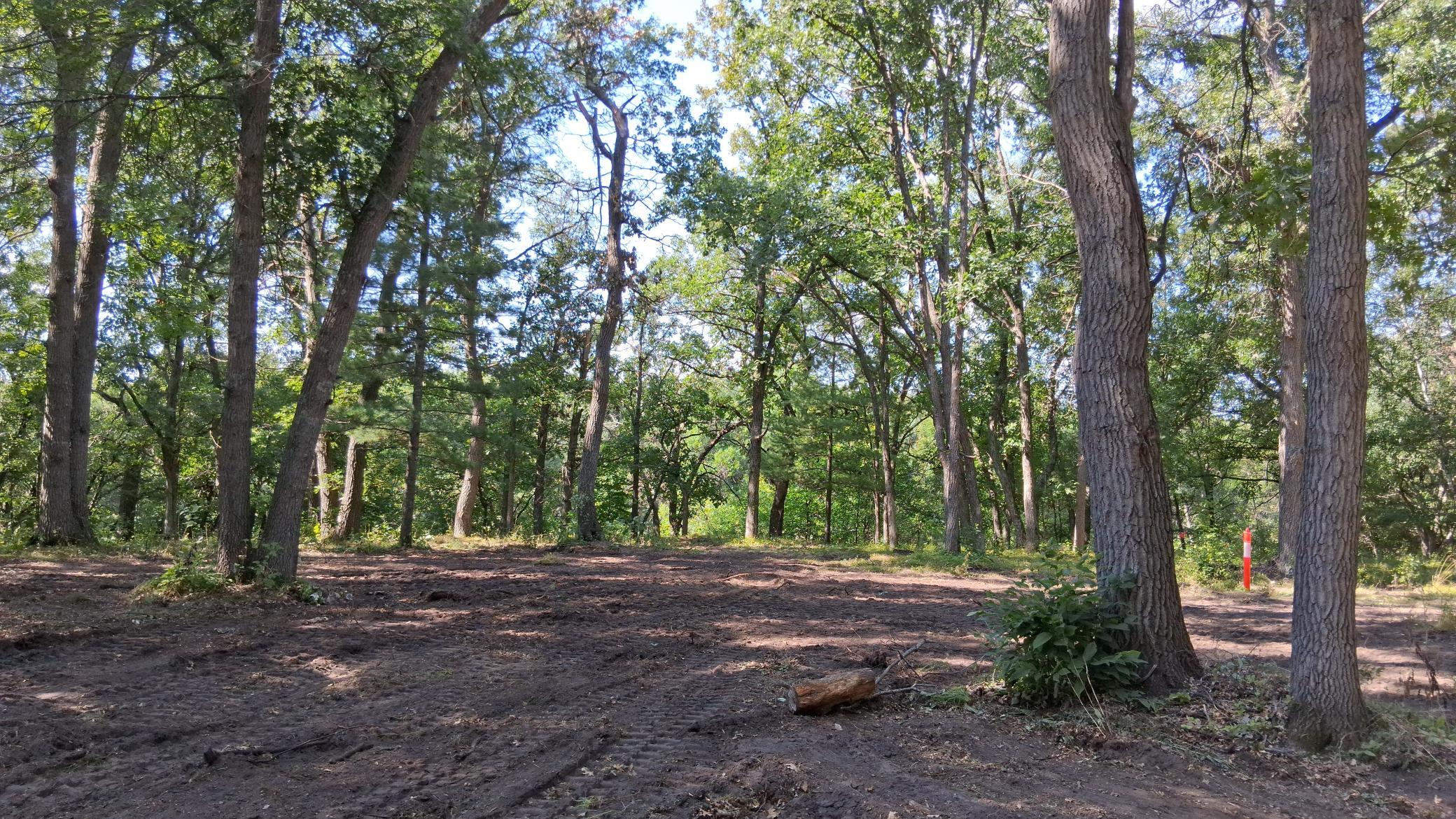 38869 Odin Court Property Photo 13