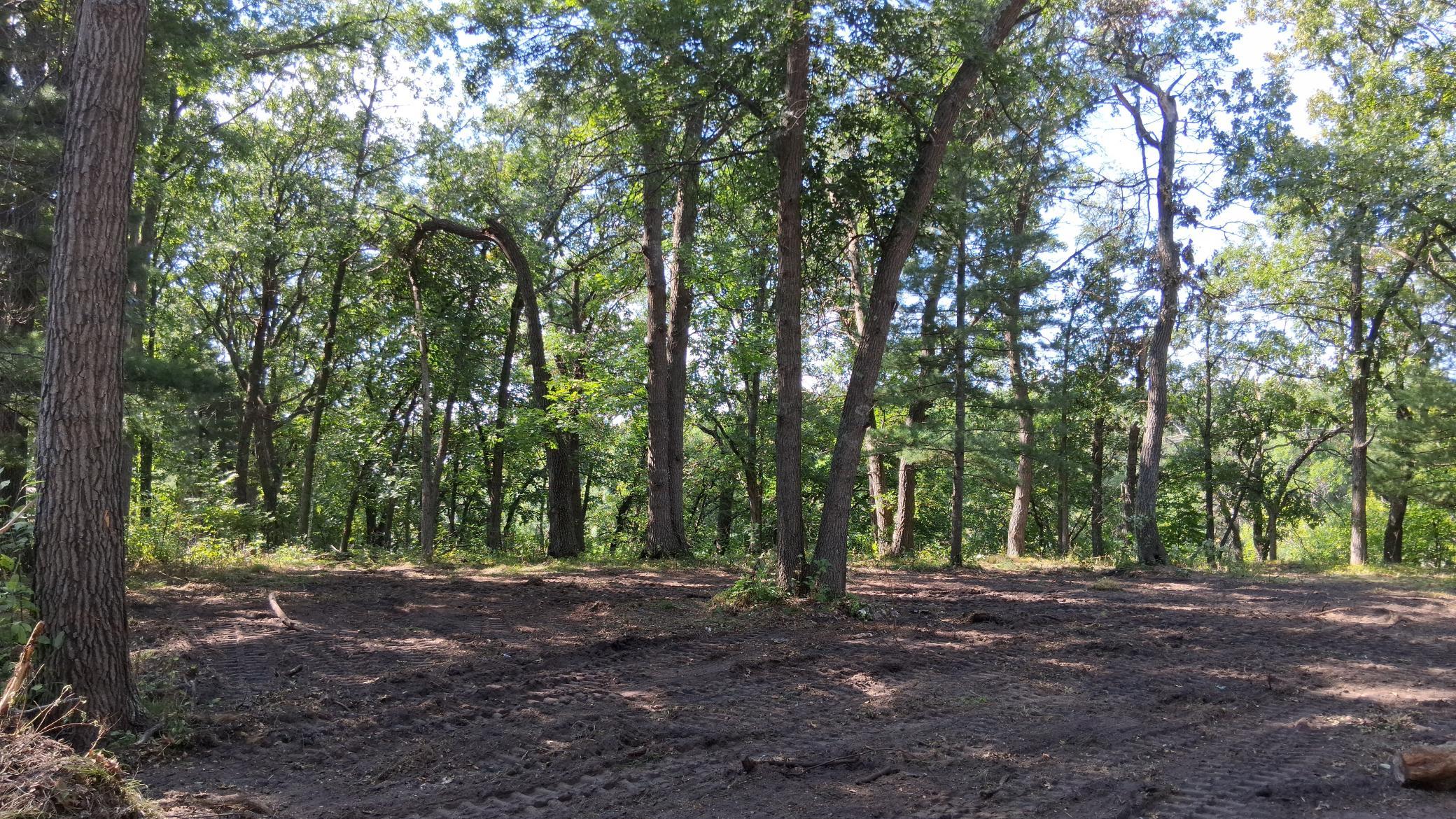 38869 Odin Court Property Photo 14