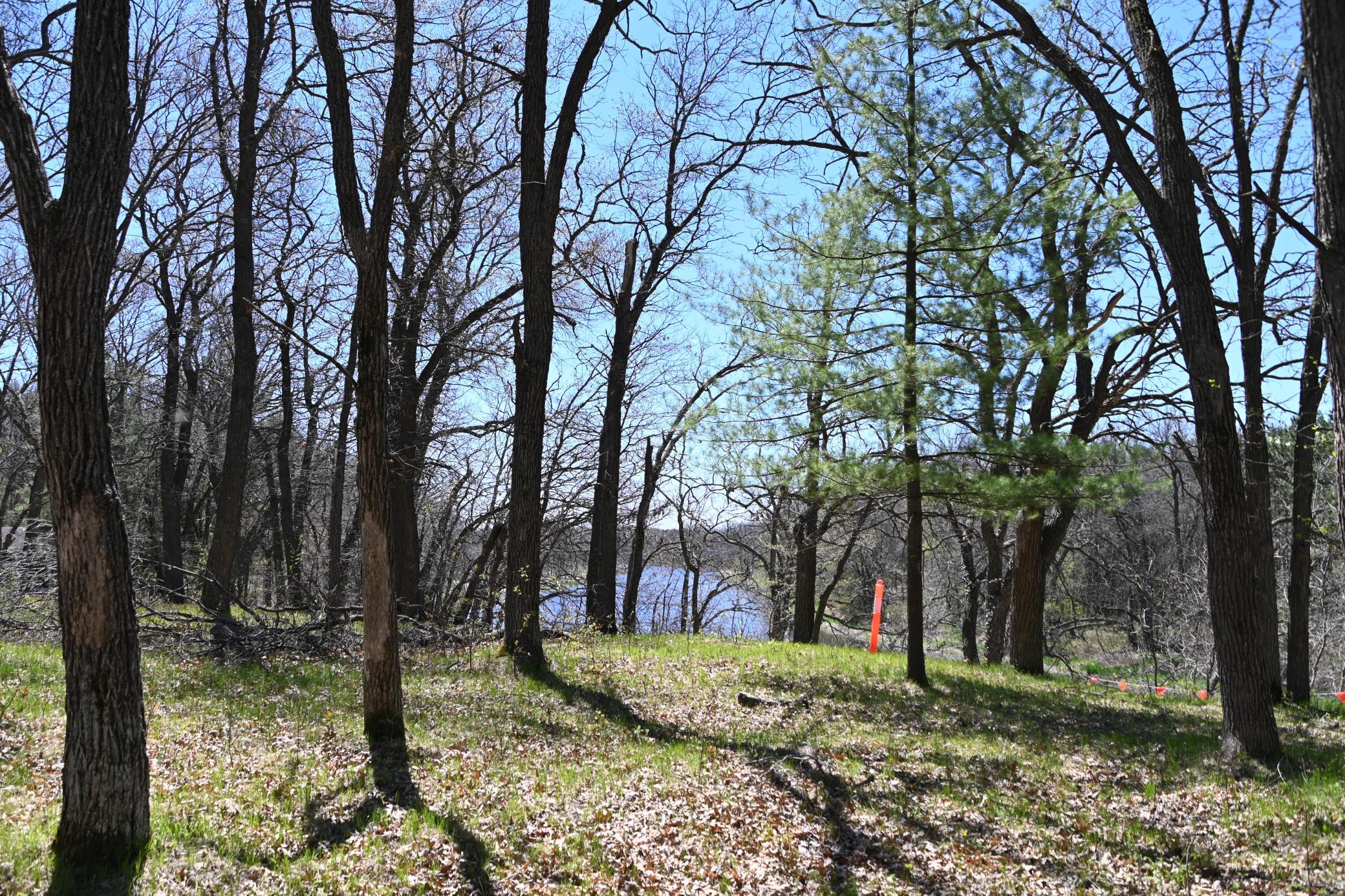 38903 Odin Court Property Photo 3