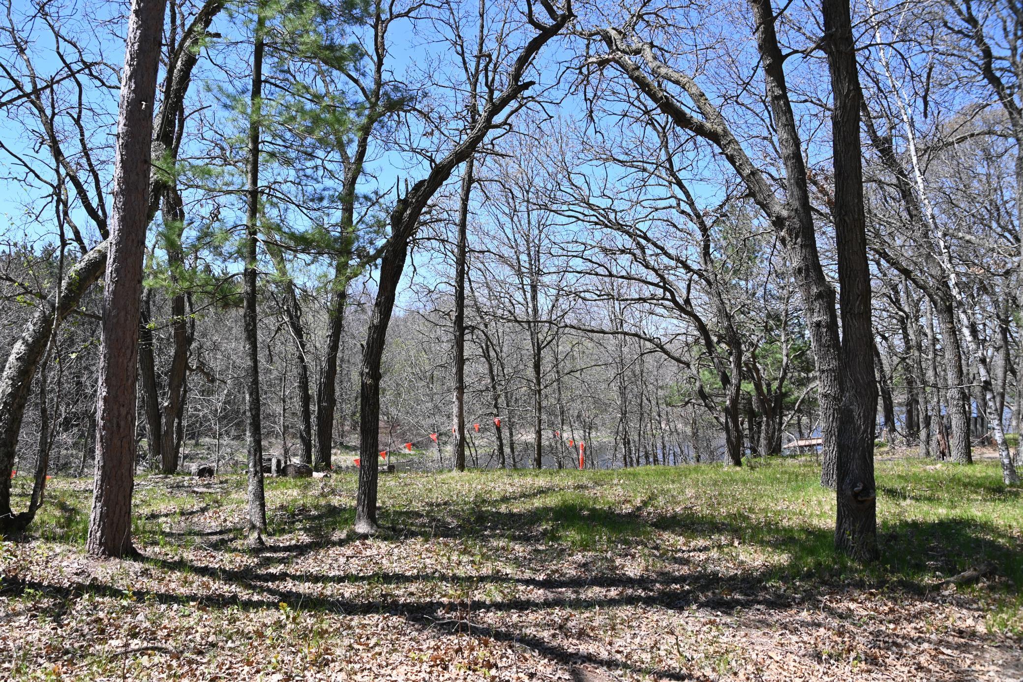 38903 Odin Court Property Photo 4