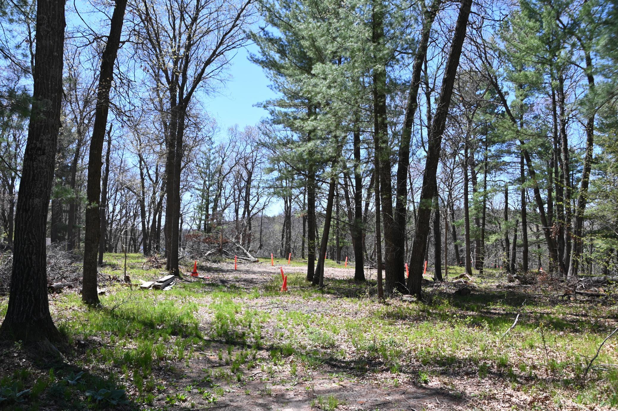 38903 Odin Court Property Photo 5
