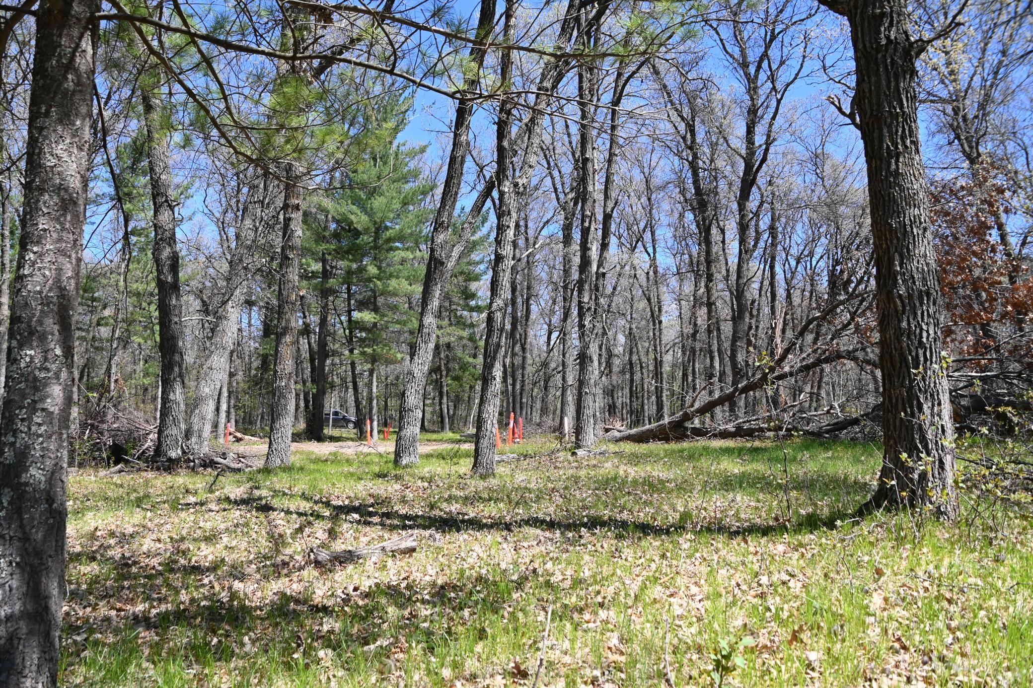 38903 Odin Court Property Photo 10