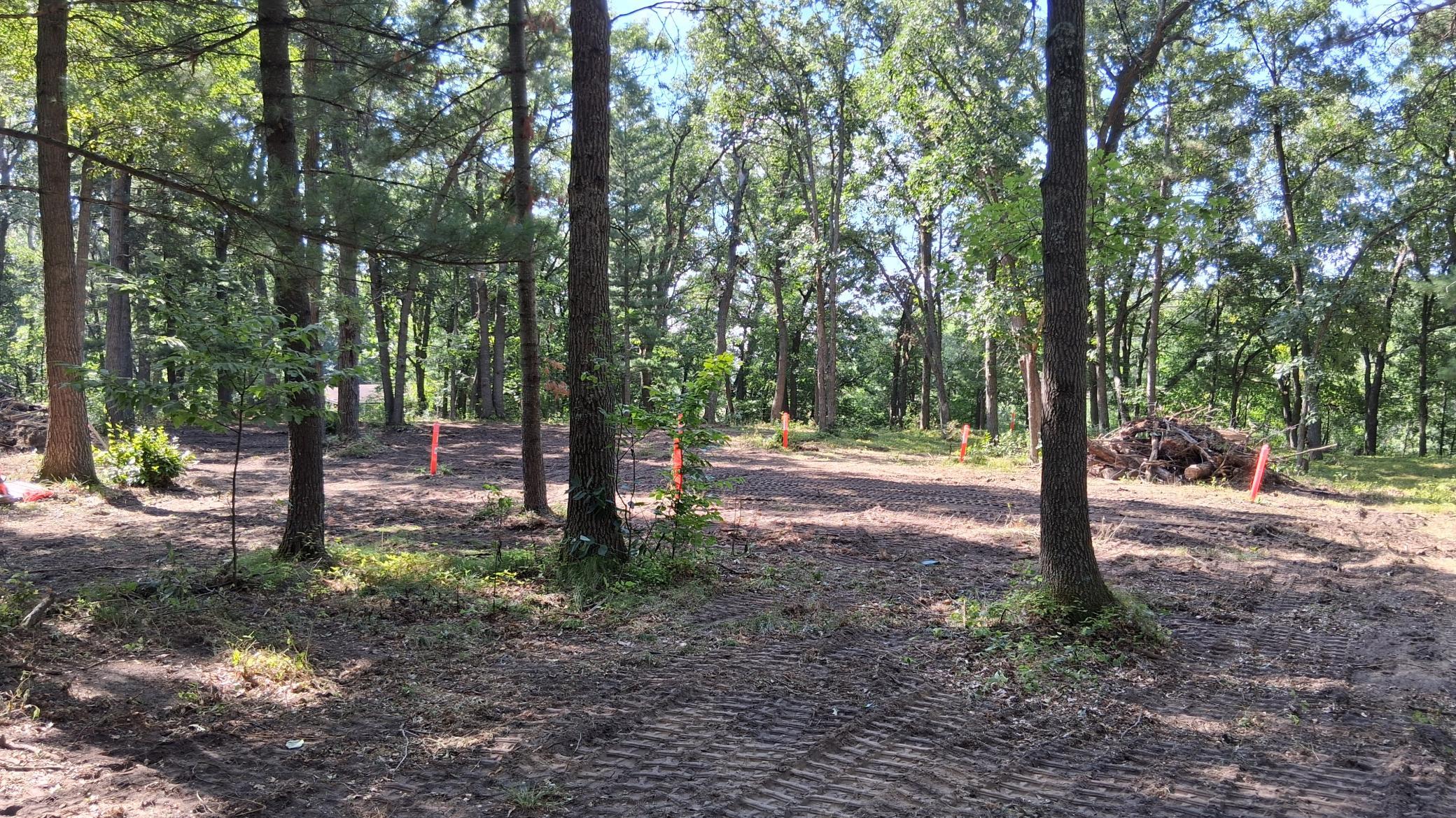 38903 Odin Court Property Photo 15