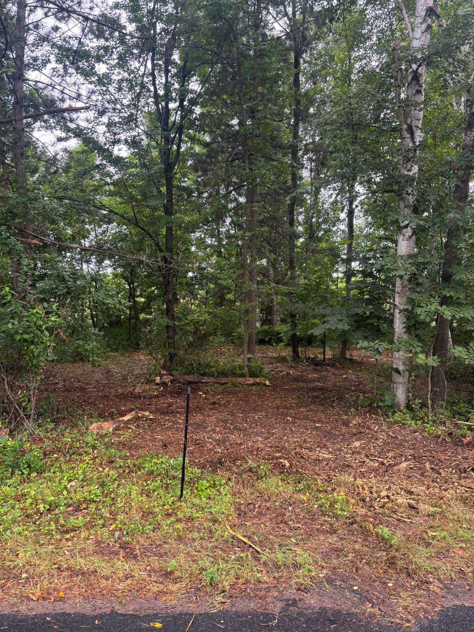 Tbd W Bone Lake Dr Property Photo 1
