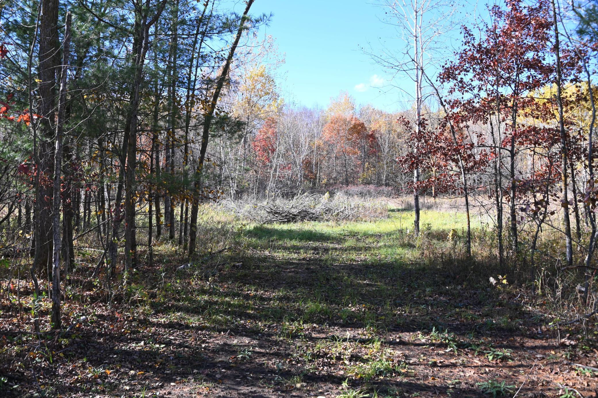 27727 Oberon Loop Property Photo 4