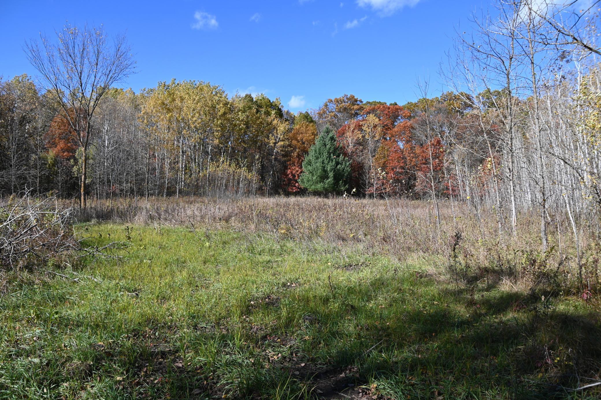 27727 Oberon Loop Property Photo 5
