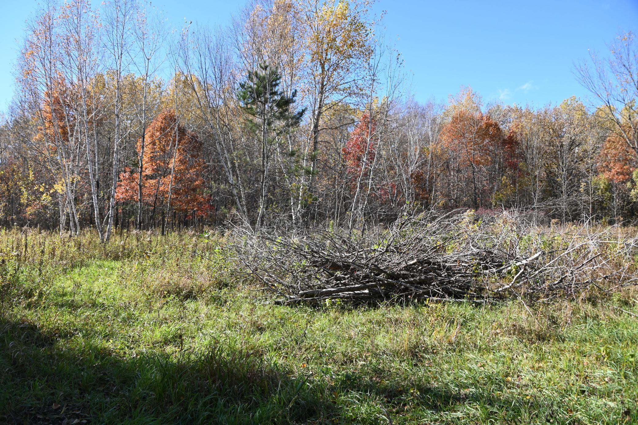 27727 Oberon Loop Property Photo 6