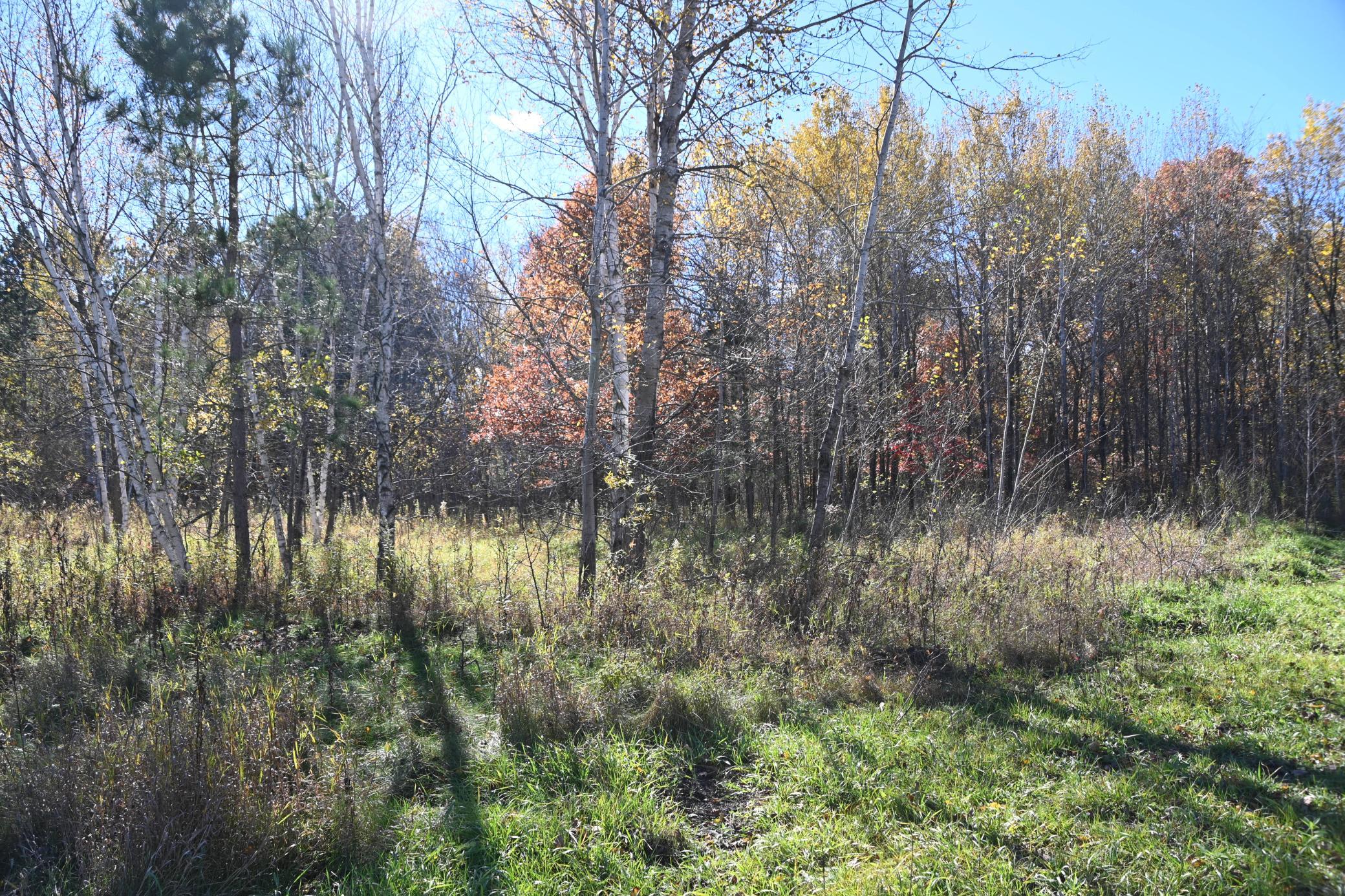 27727 Oberon Loop Property Photo 8