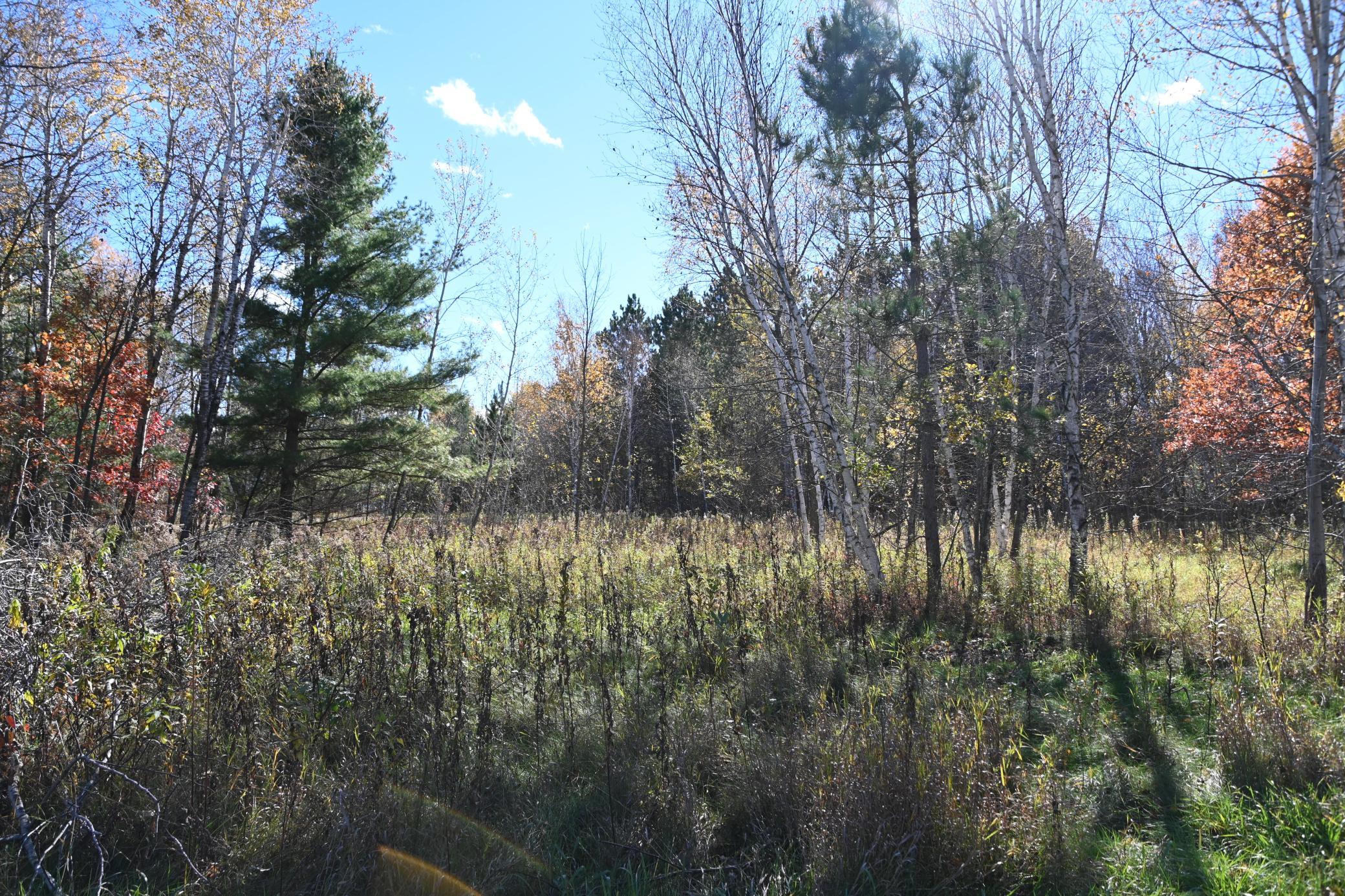 27727 Oberon Loop Property Photo 9