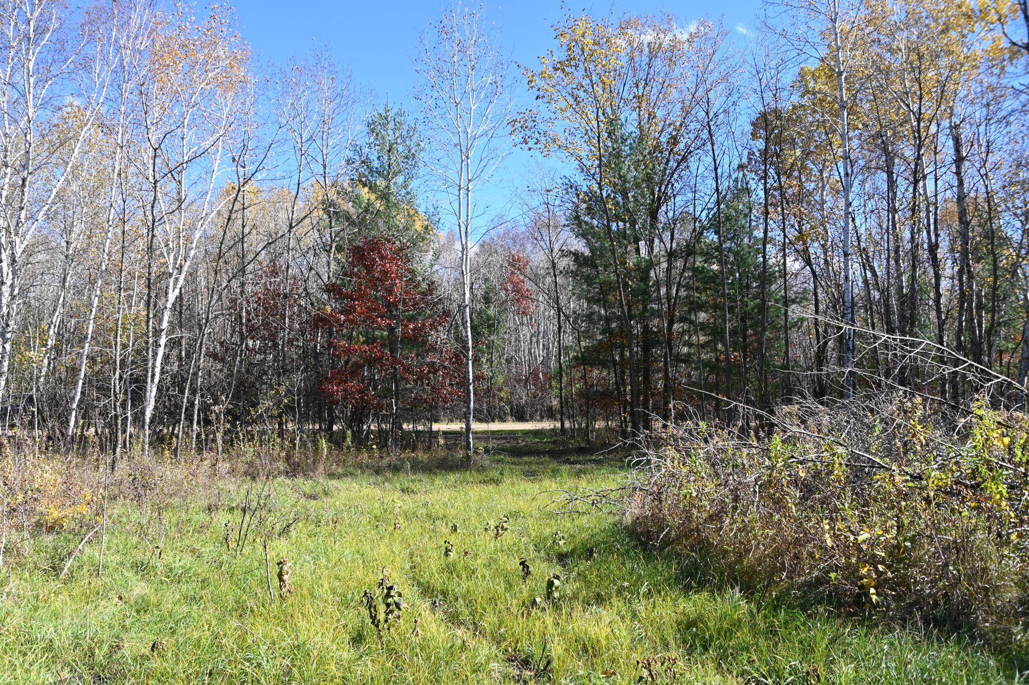 27727 Oberon Loop Property Photo 10