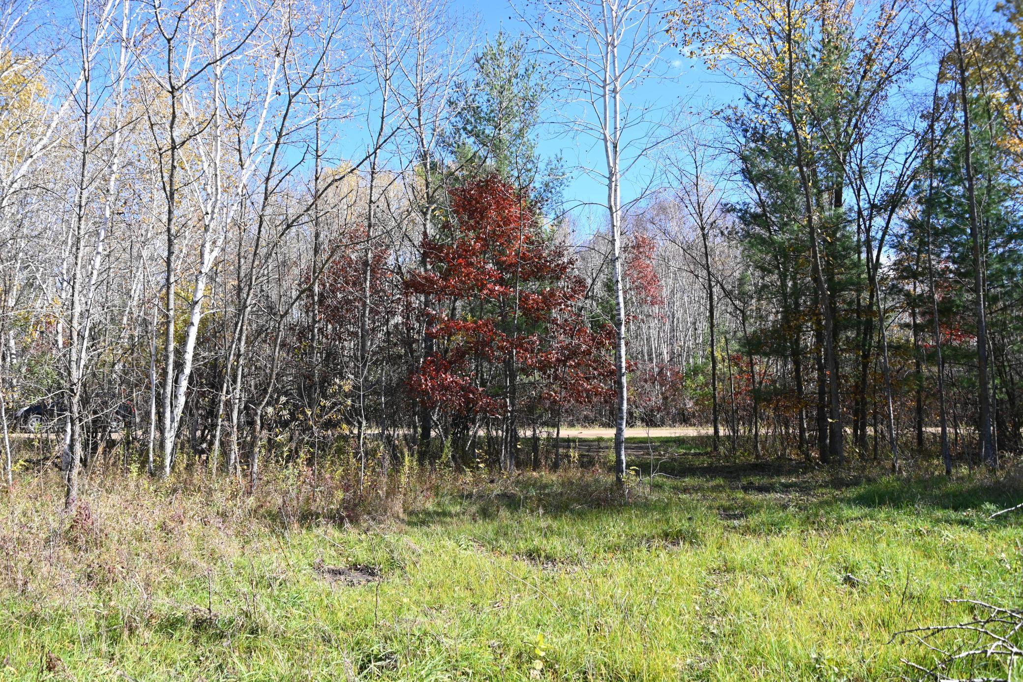 27727 Oberon Loop Property Photo 12