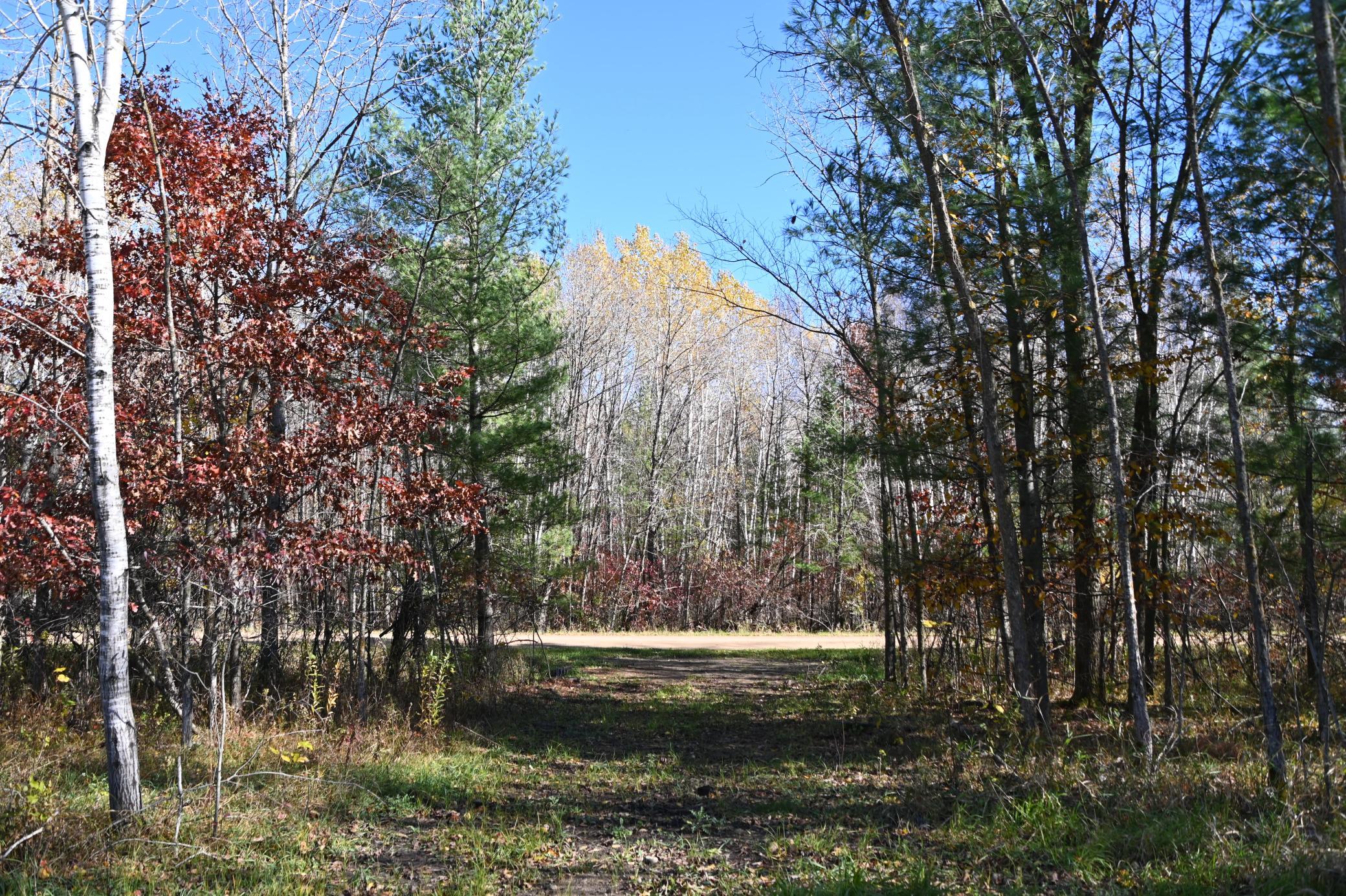 27727 Oberon Loop Property Photo 13