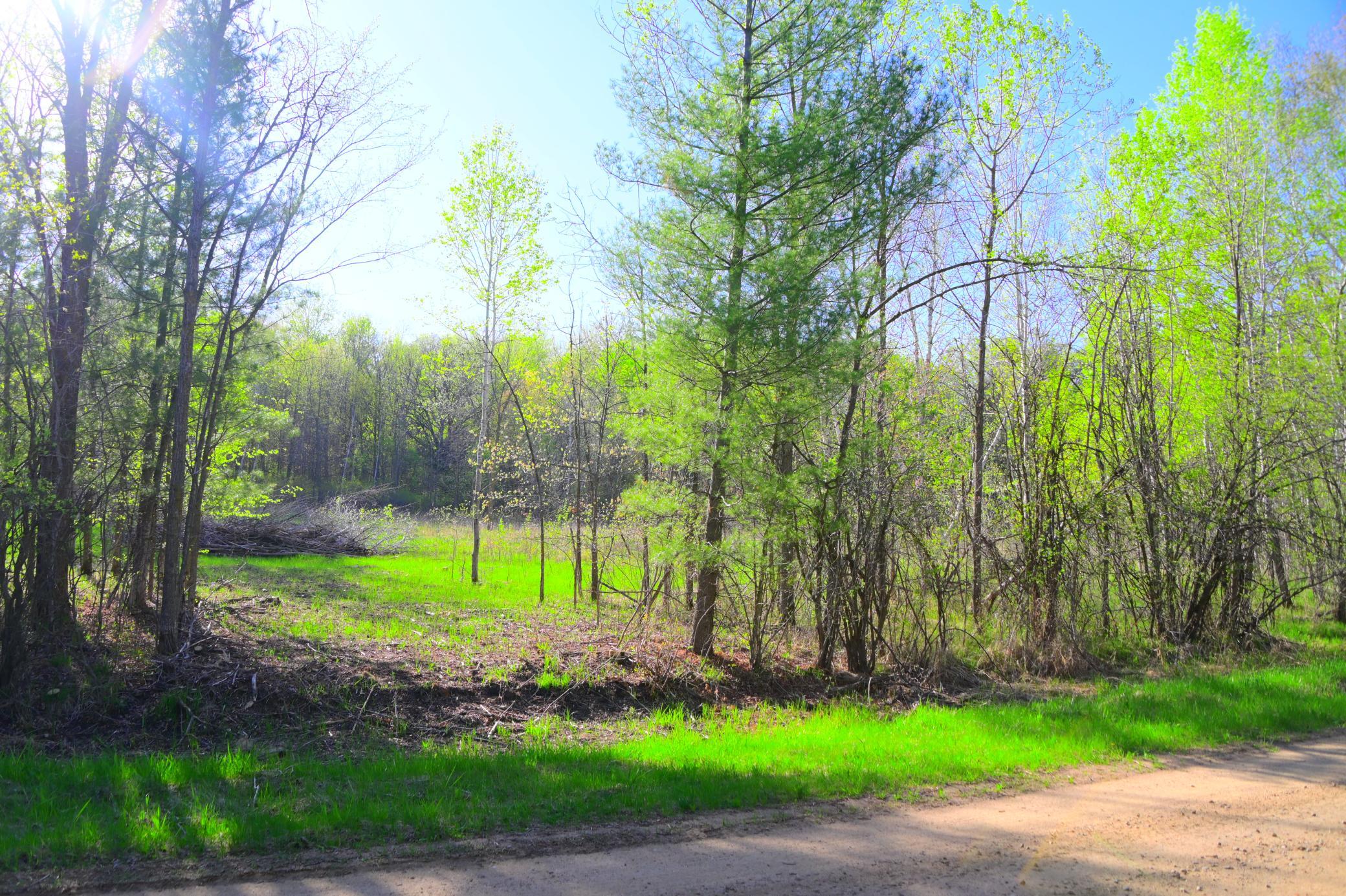 27727 Oberon Loop Property Photo 21