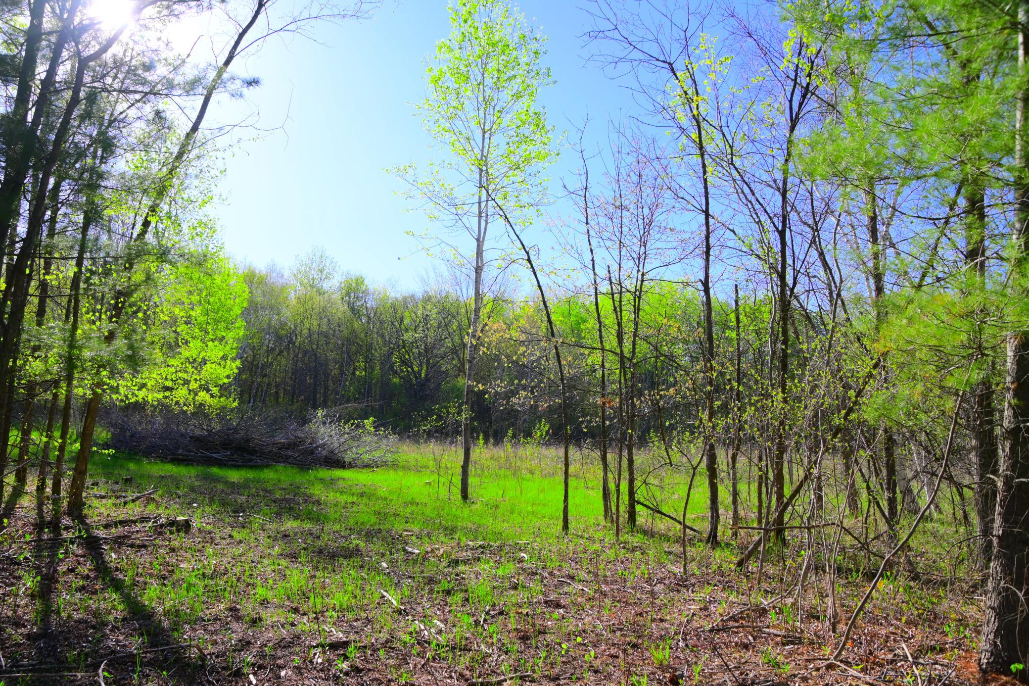 27727 Oberon Loop Property Photo 25