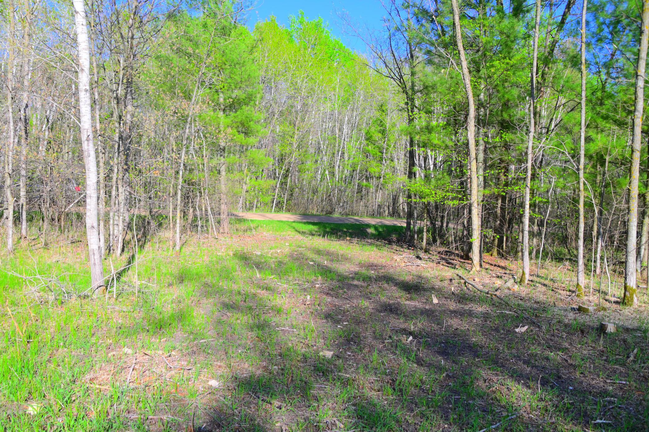 27727 Oberon Loop Property Photo 26