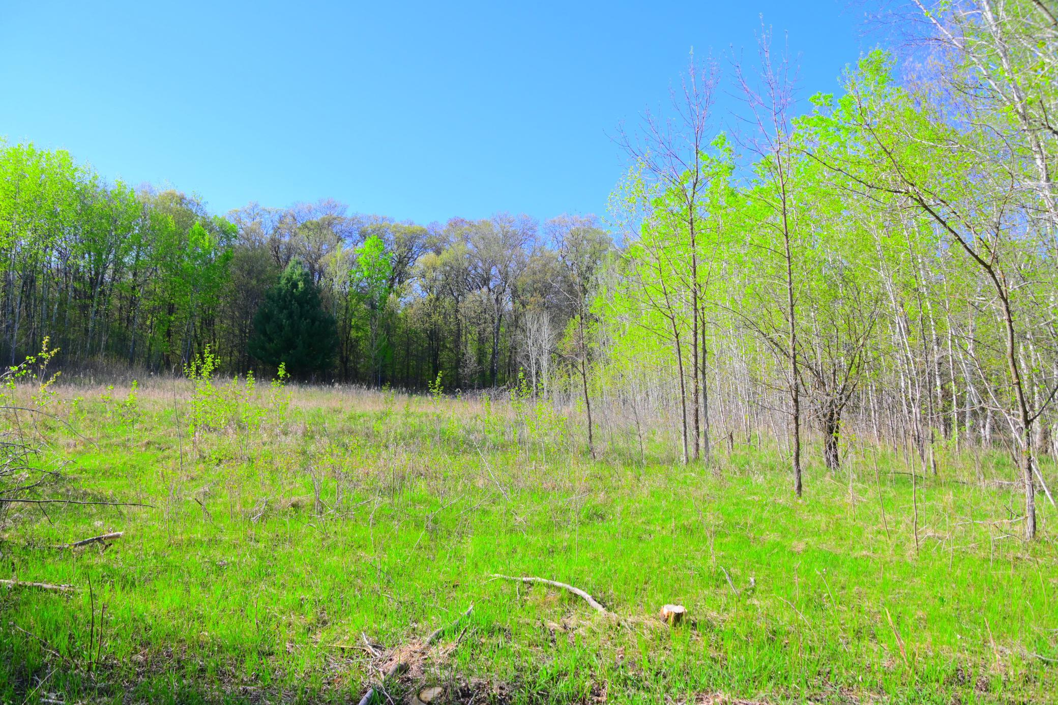 27727 Oberon Loop Property Photo 27