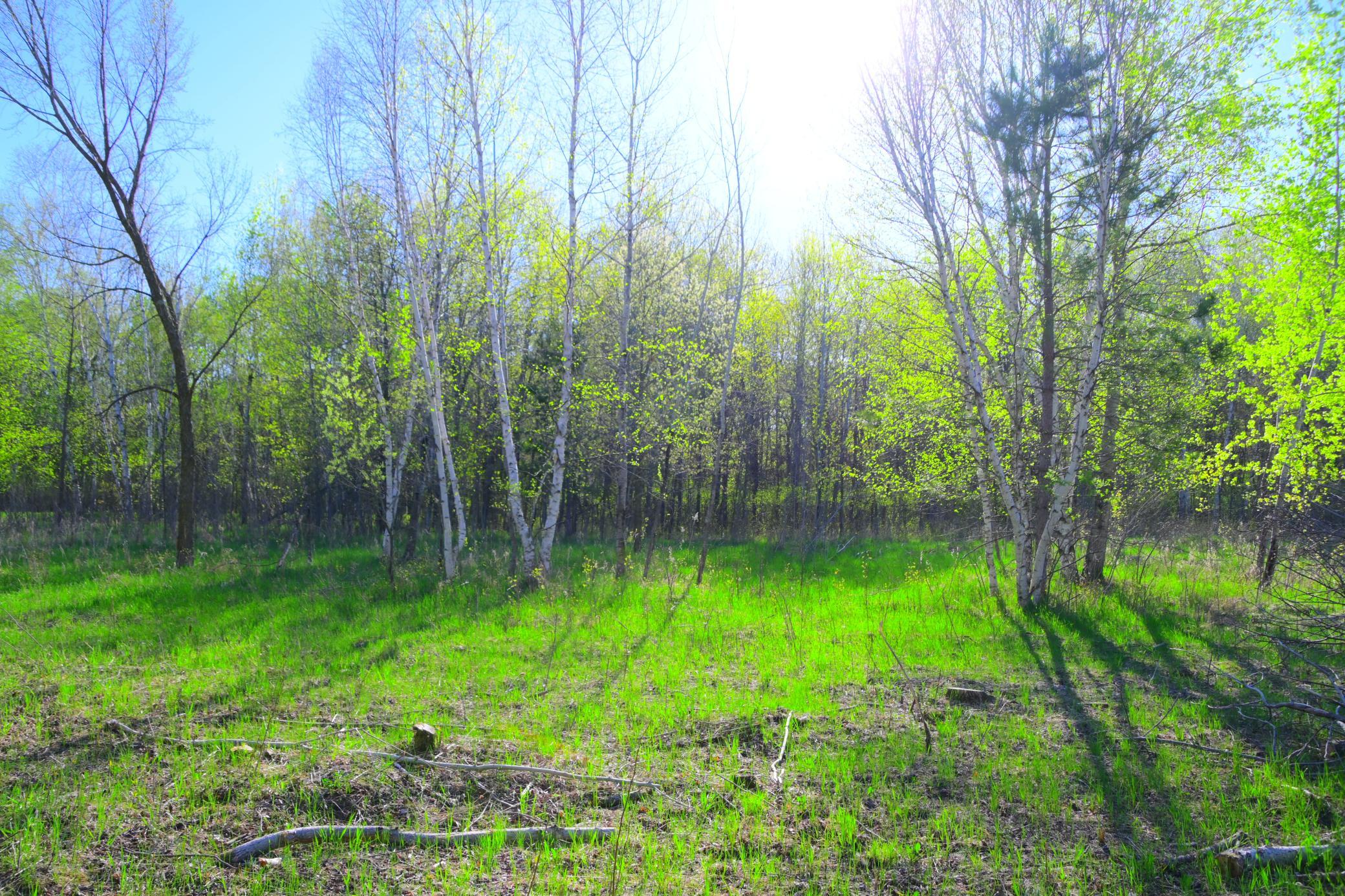 27727 Oberon Loop Property Photo 28