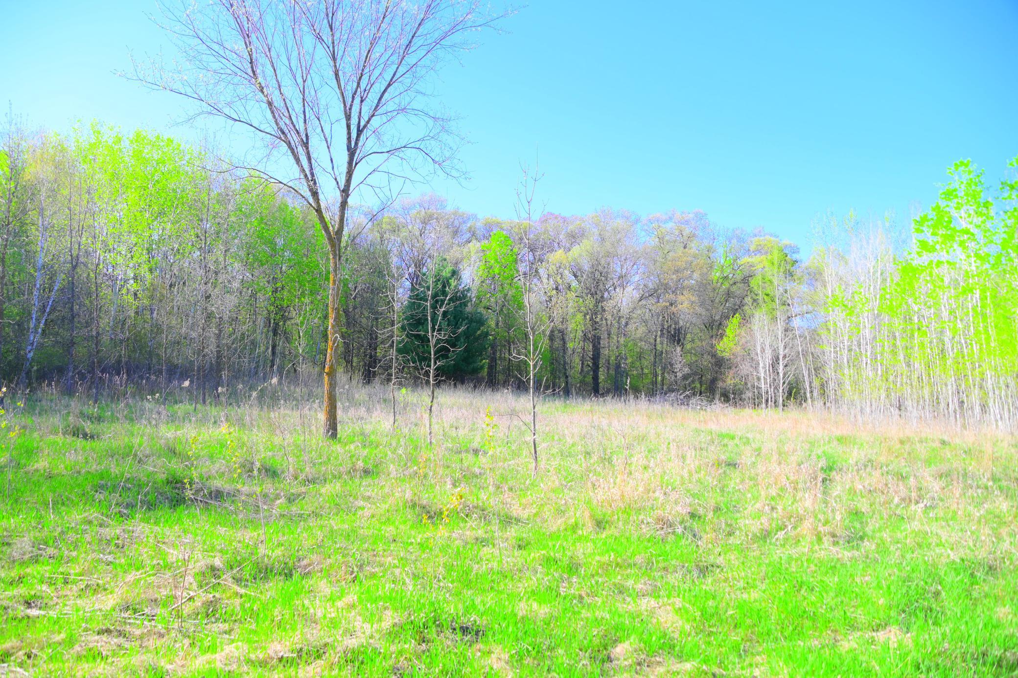 27727 Oberon Loop Property Photo 29