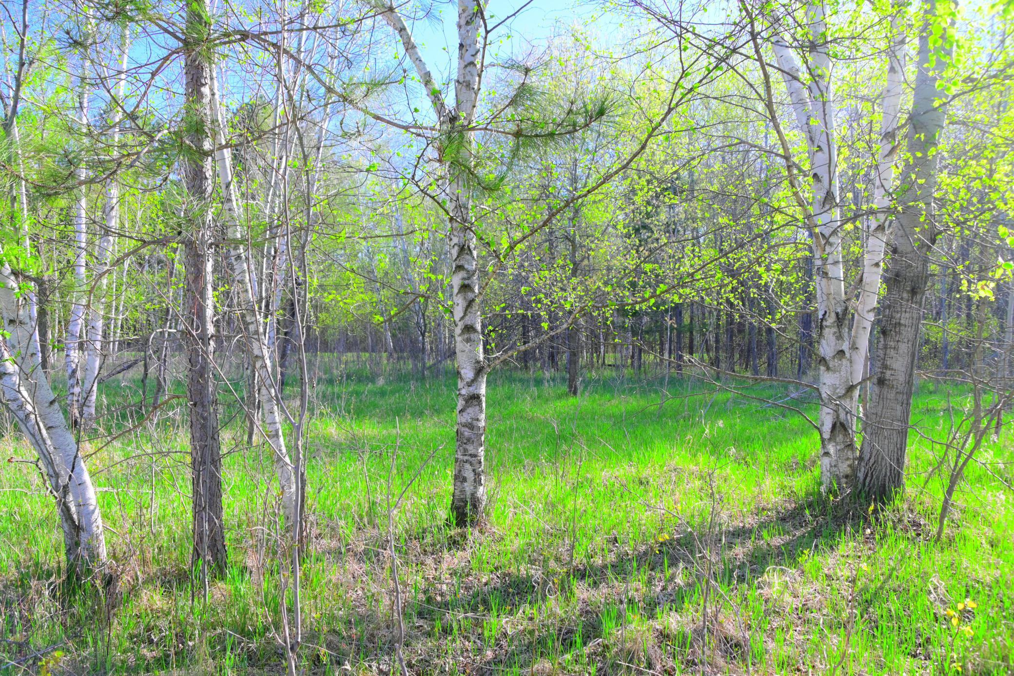27727 Oberon Loop Property Photo 30