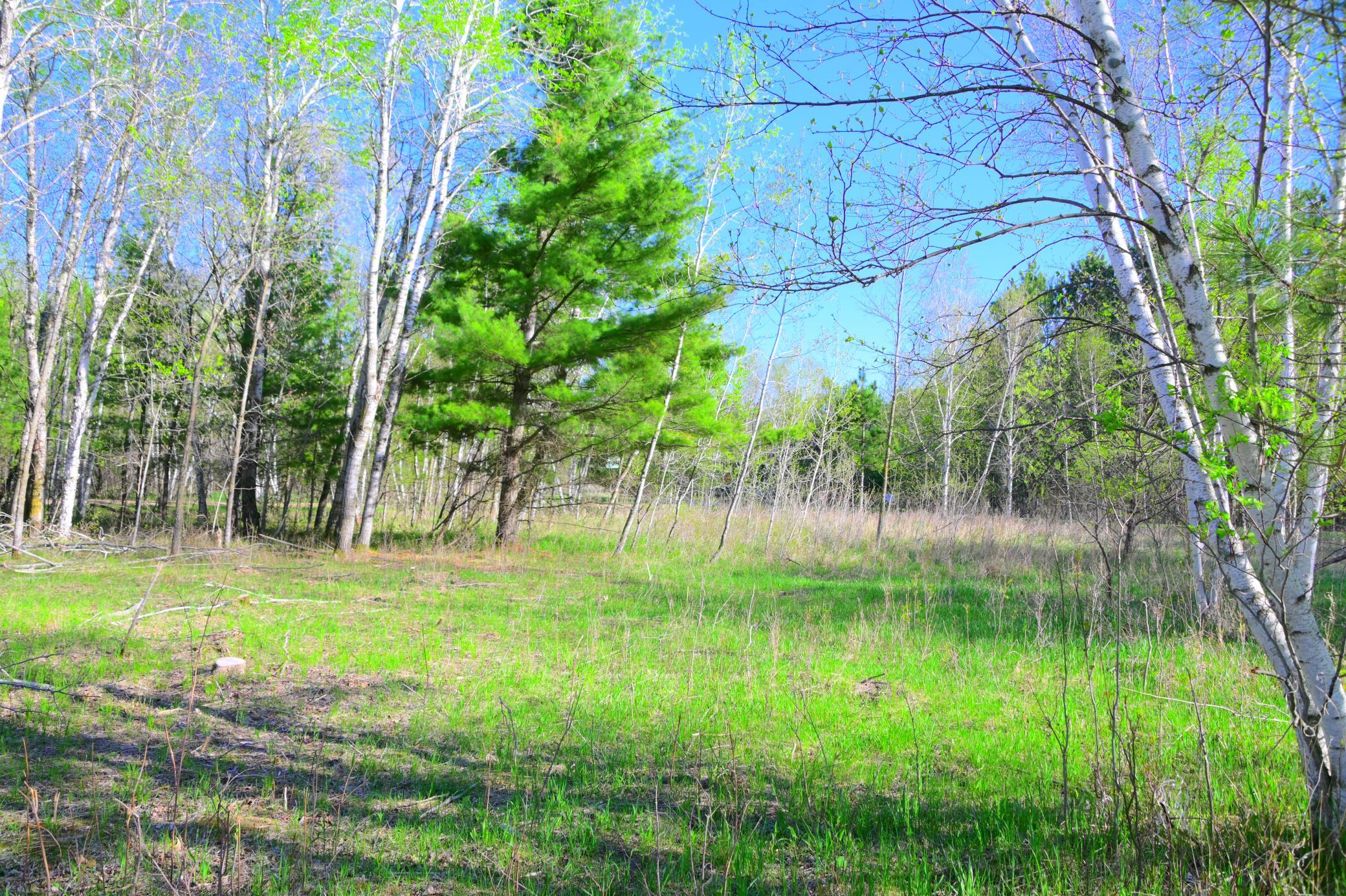 27727 Oberon Loop Property Photo 31