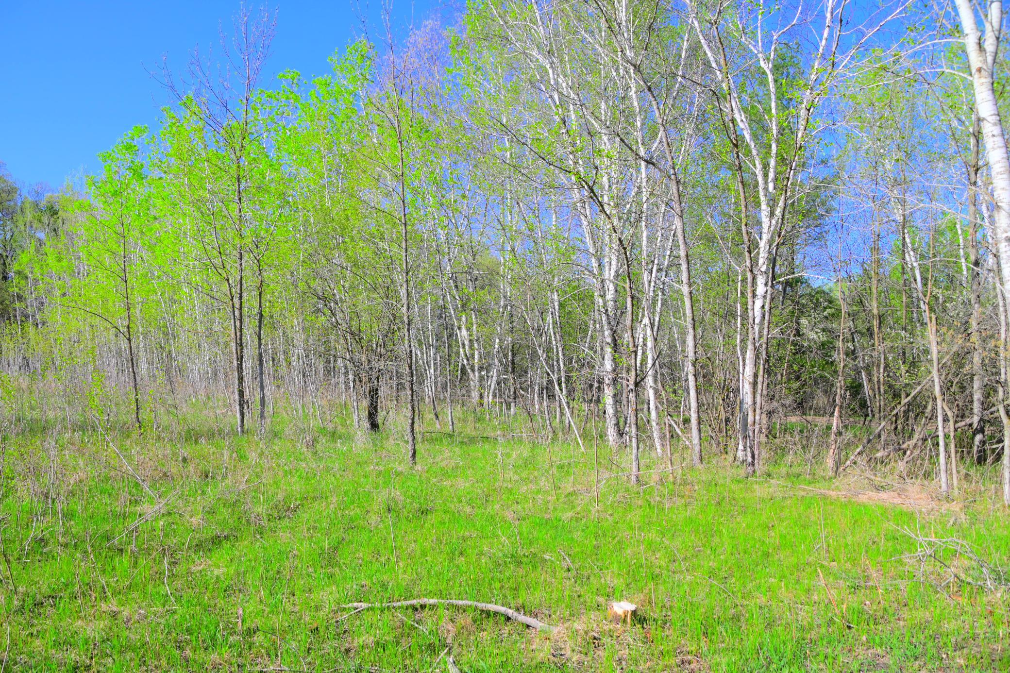 27727 Oberon Loop Property Photo 32
