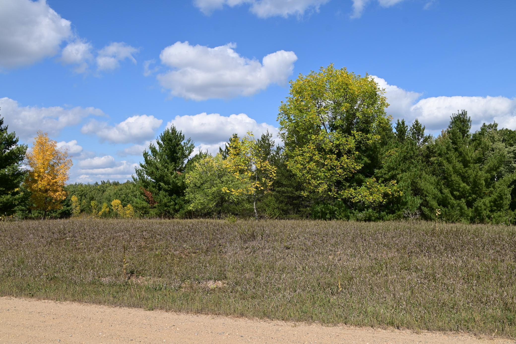 Tbd Oak Drive Property Photo 2