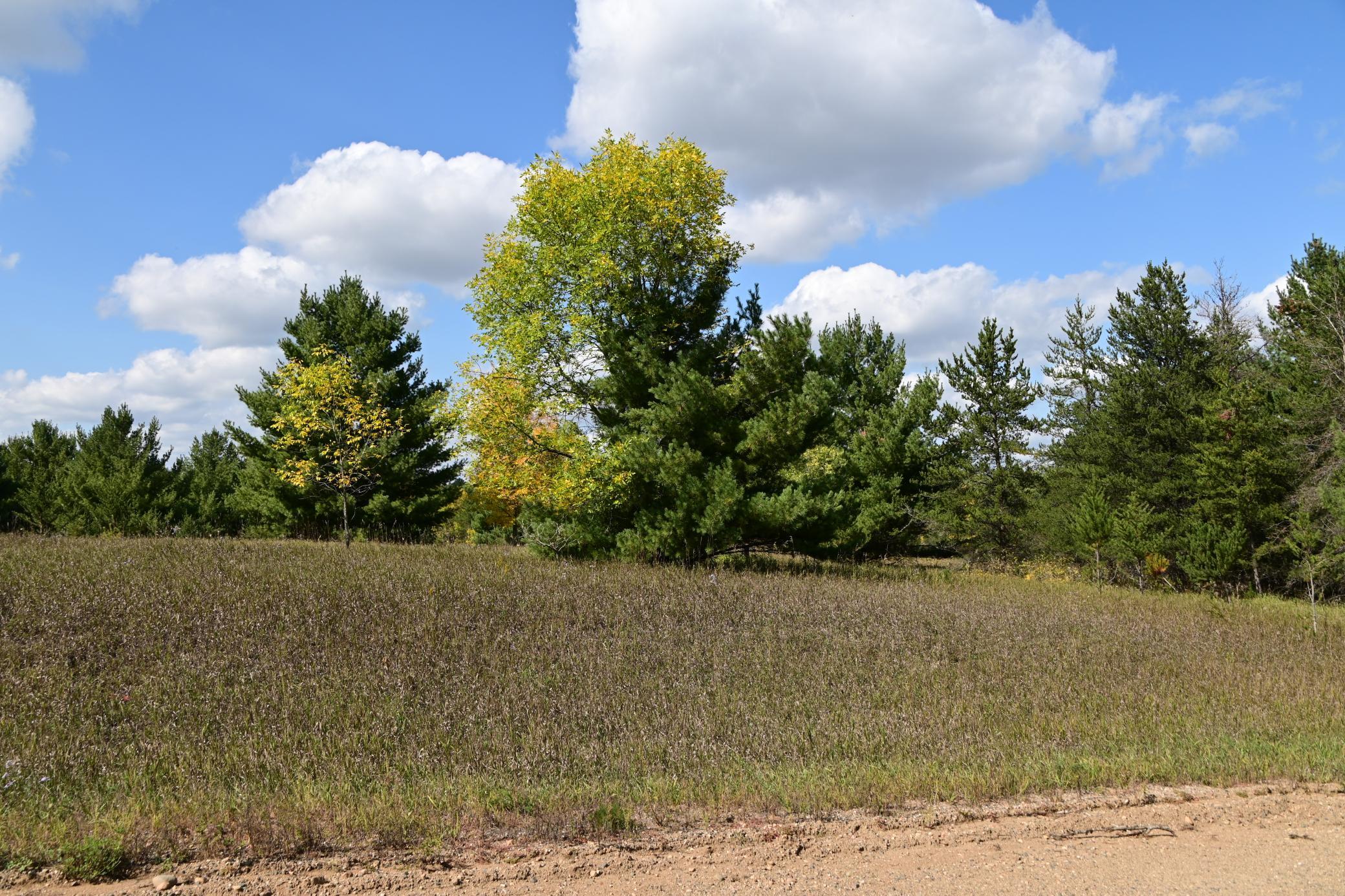 Tbd Oak Drive Property Photo 3