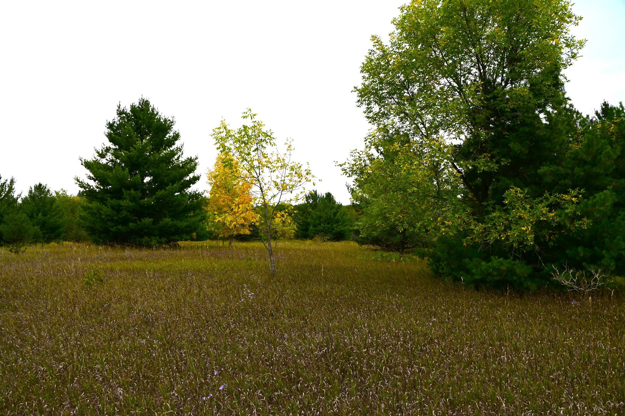 Tbd Oak Drive Property Photo 5