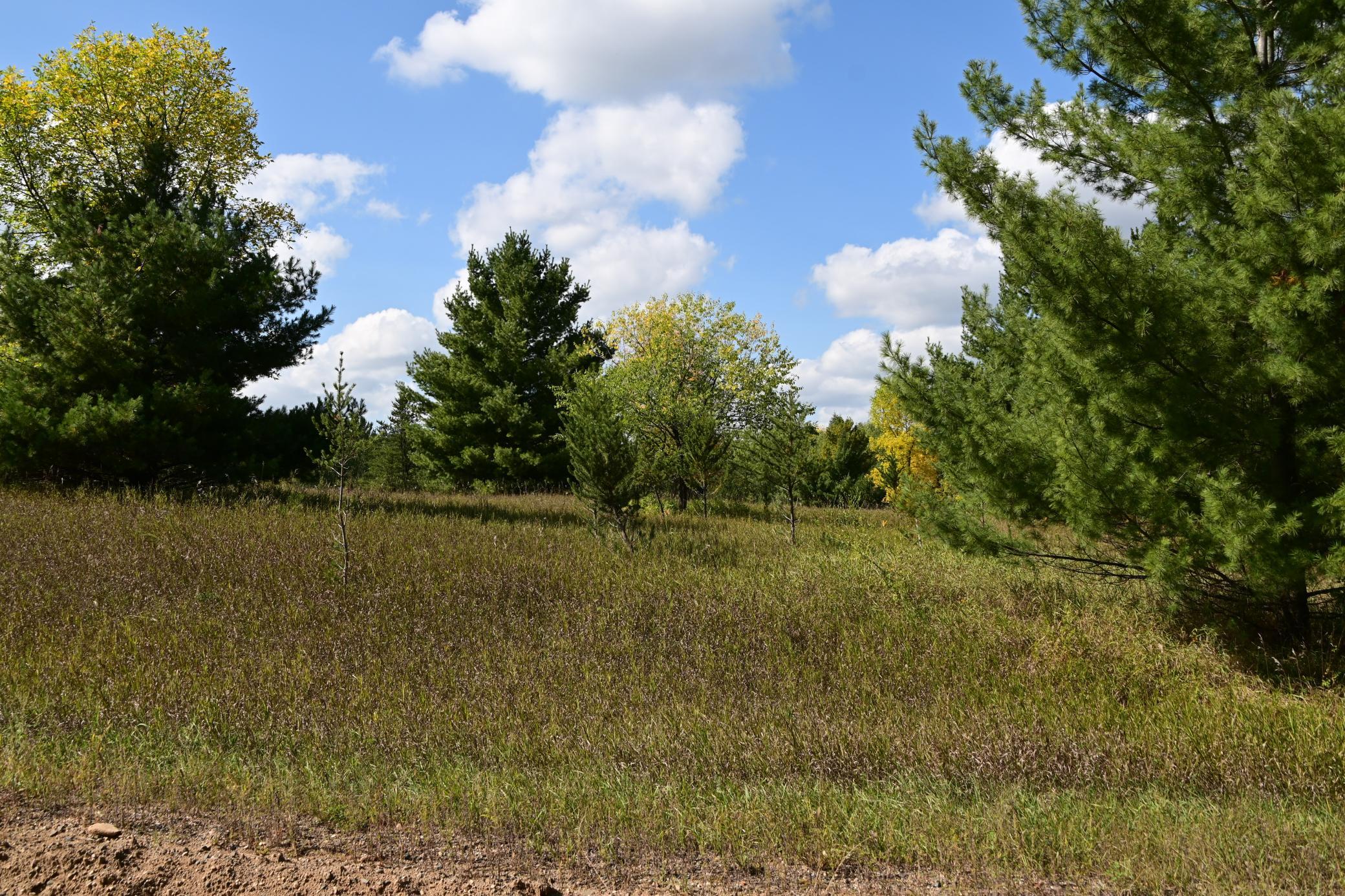 Tbd Oak Drive Property Photo 6