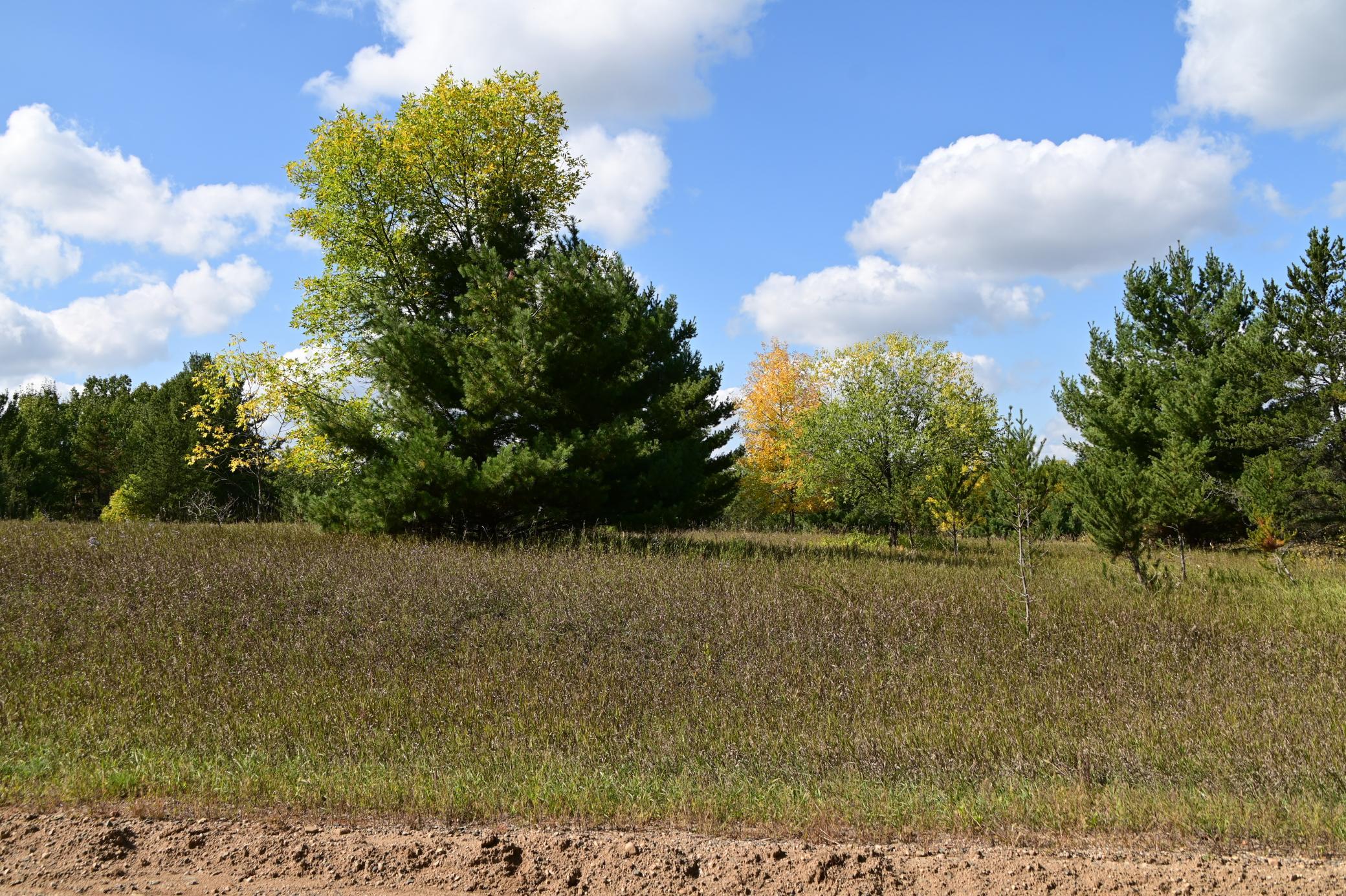 Tbd Oak Drive Property Photo 7
