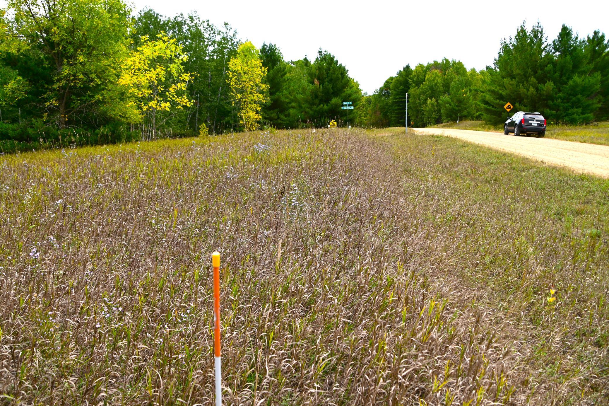 Tbd Oak Drive Property Photo 8