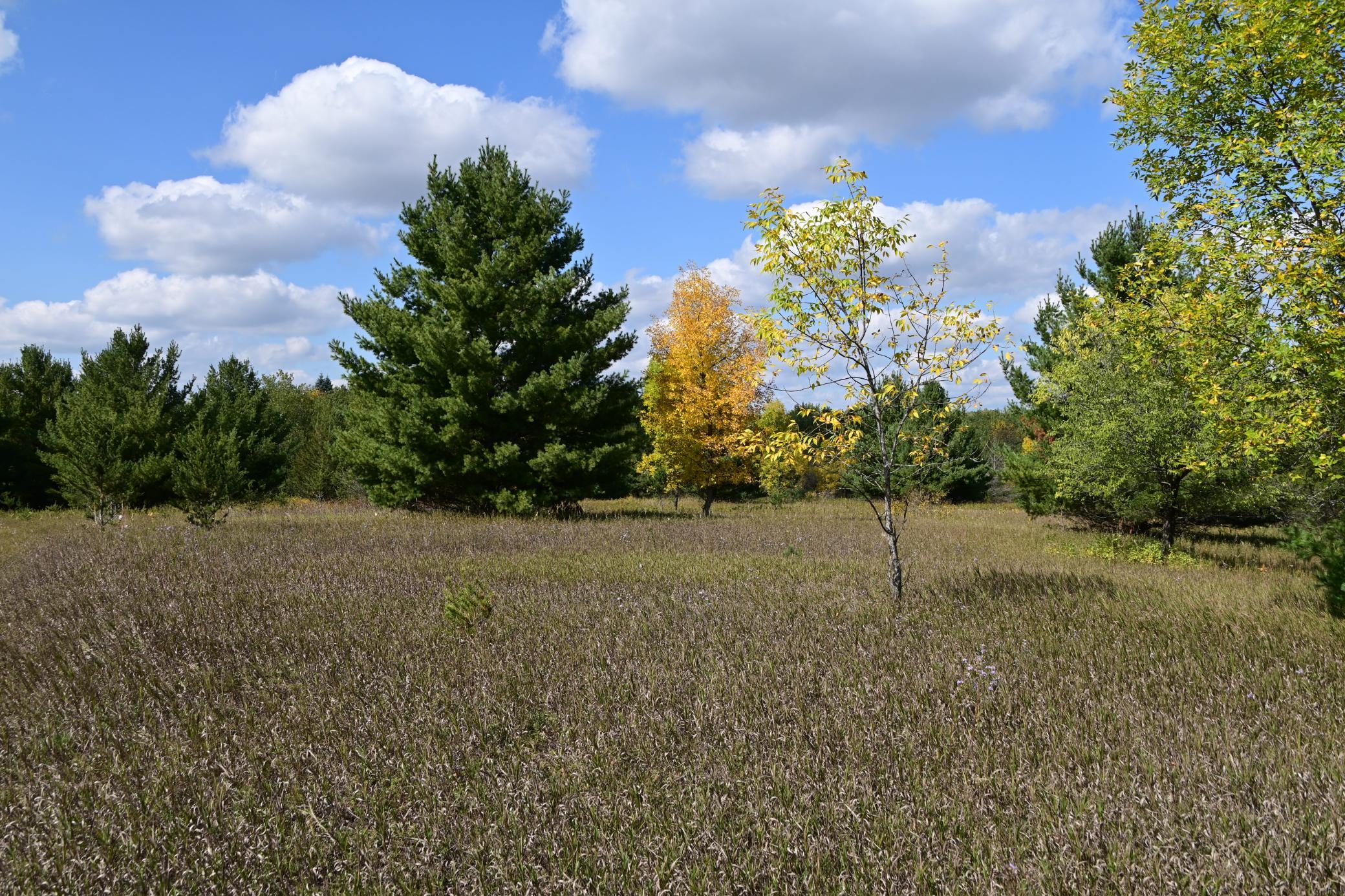 Tbd Oak Drive Property Photo 9