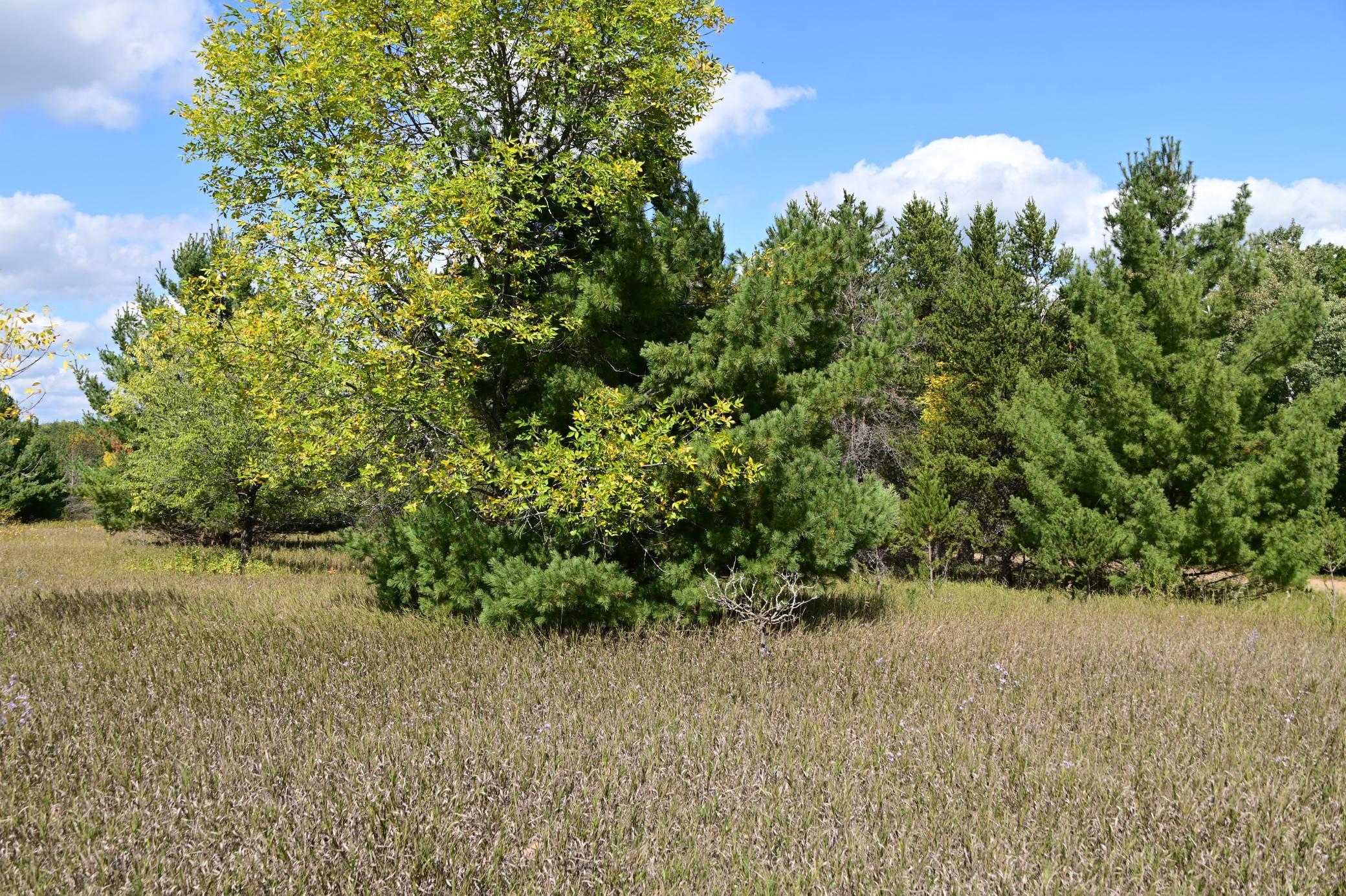 Tbd Oak Drive Property Photo 10