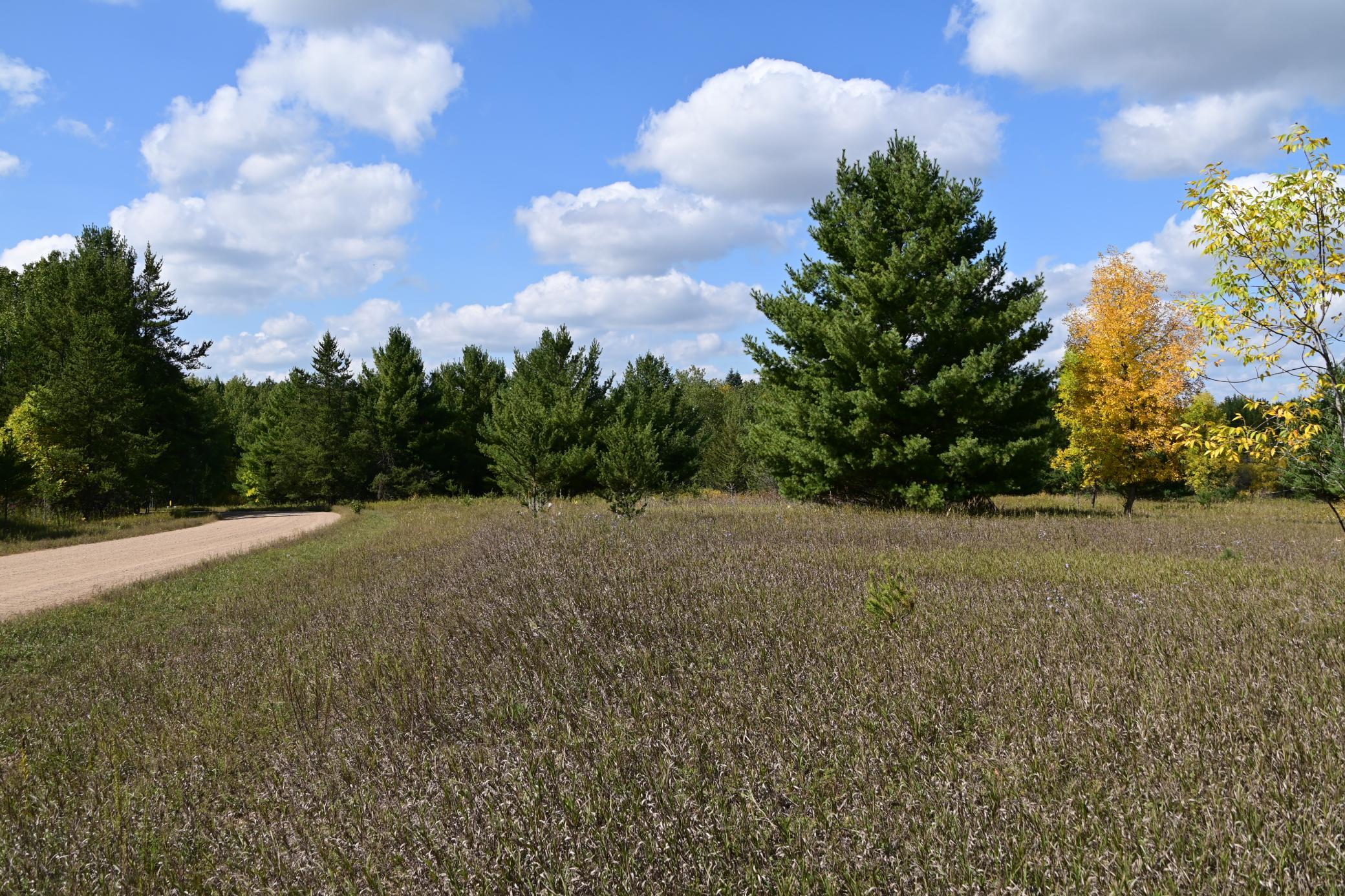 Tbd Oak Drive Property Photo 12