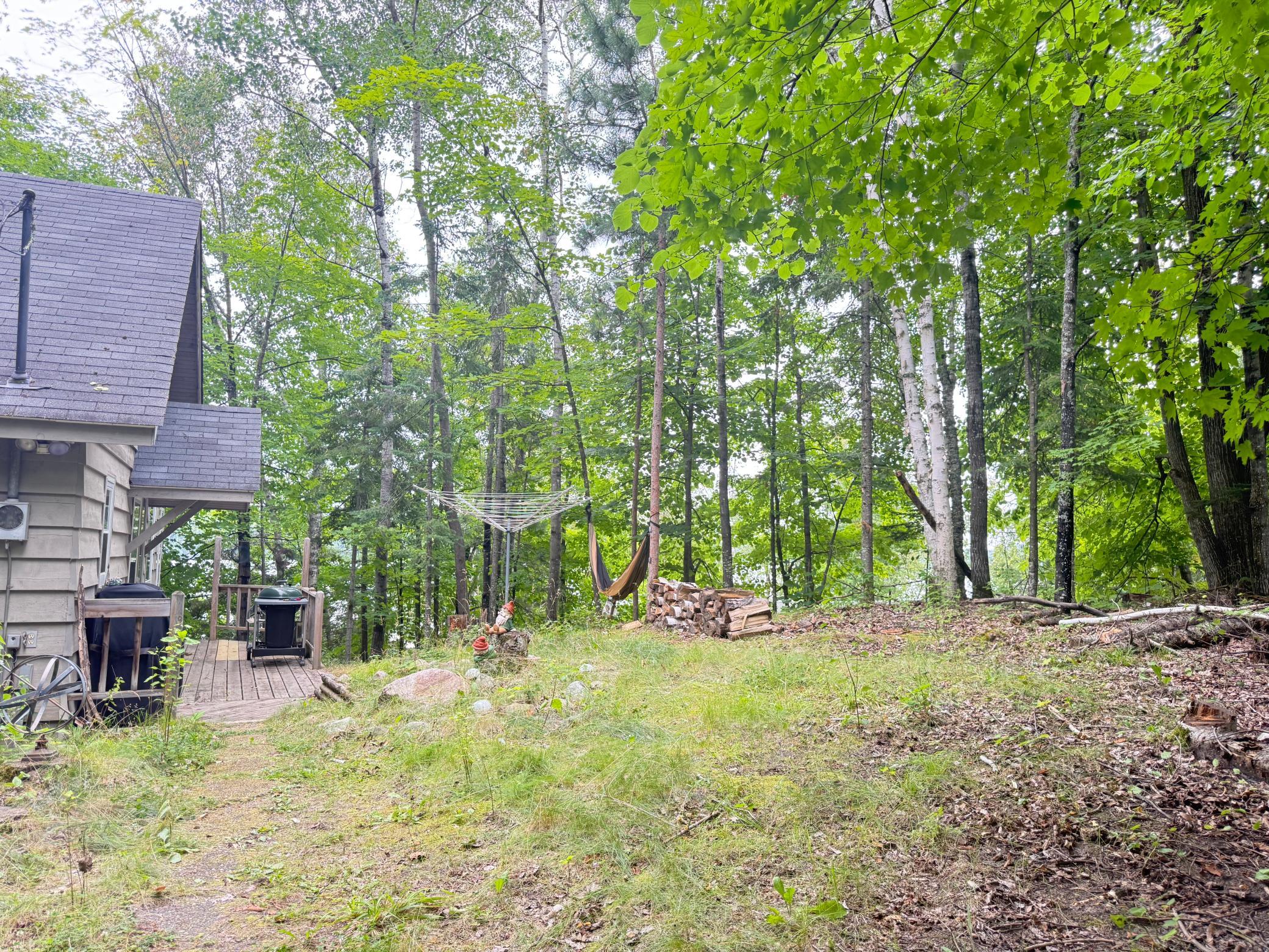 41622 Turtle Lake View Trail Property Photo 44