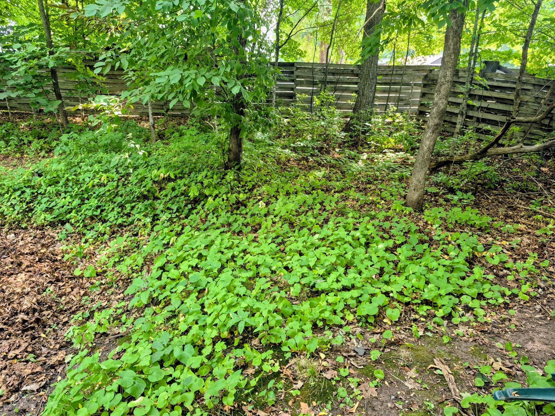 5402 Whistle Road Property Photo 16